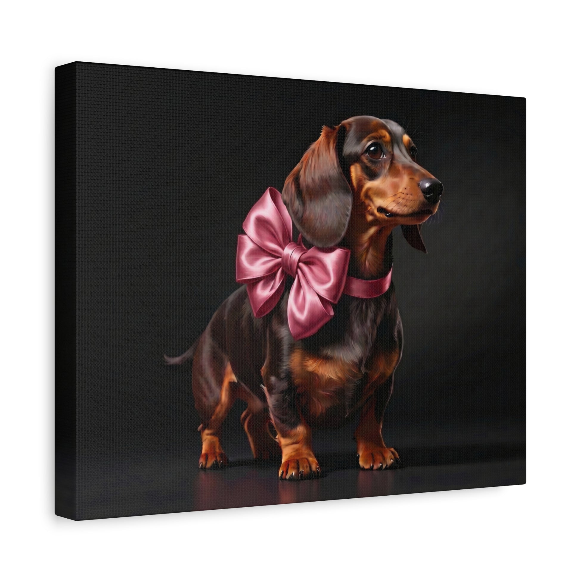 Darling Dachshunds: Pink Bow - Chunique Chihuahuas