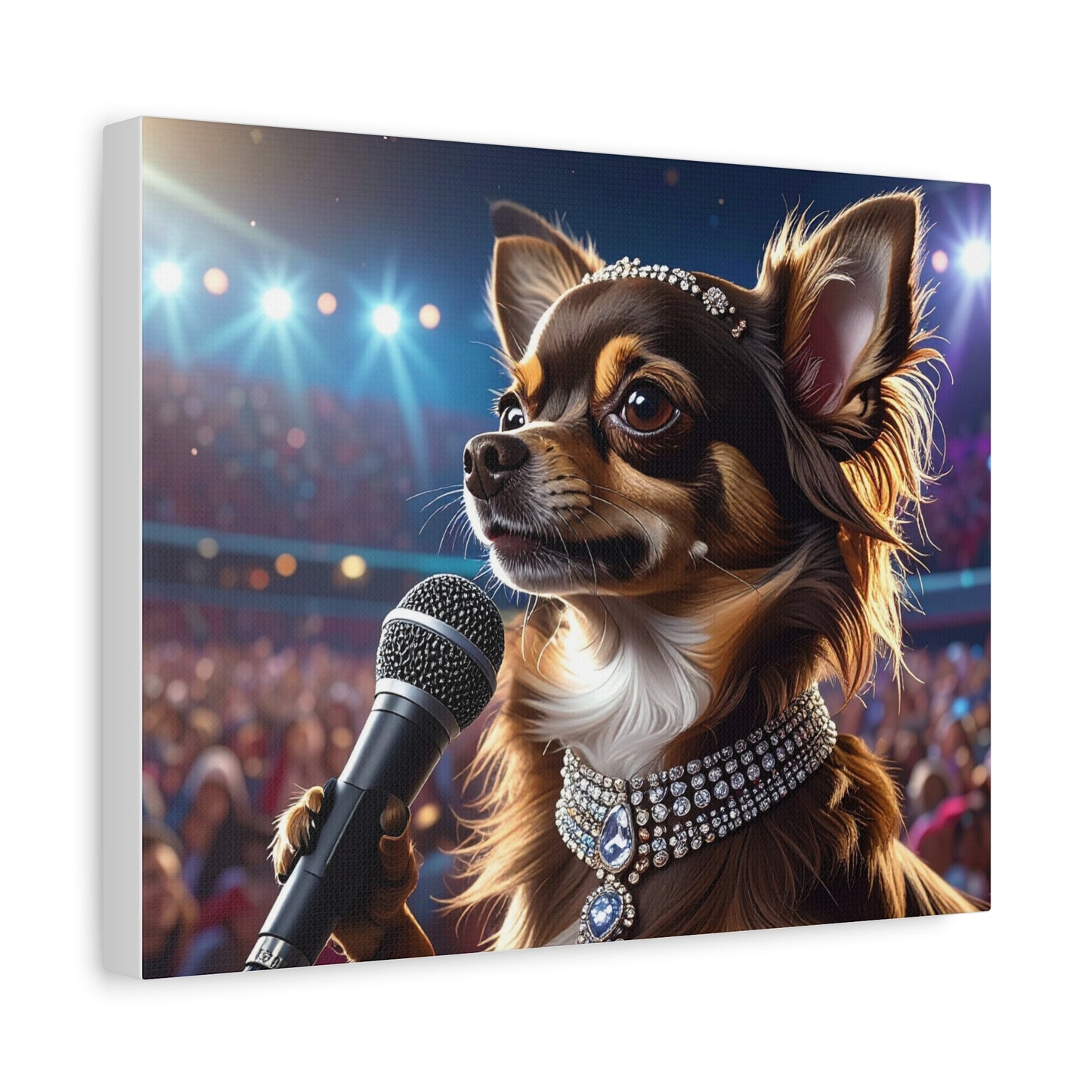 Music Muse: Pop Star - chunique chihuahuas
