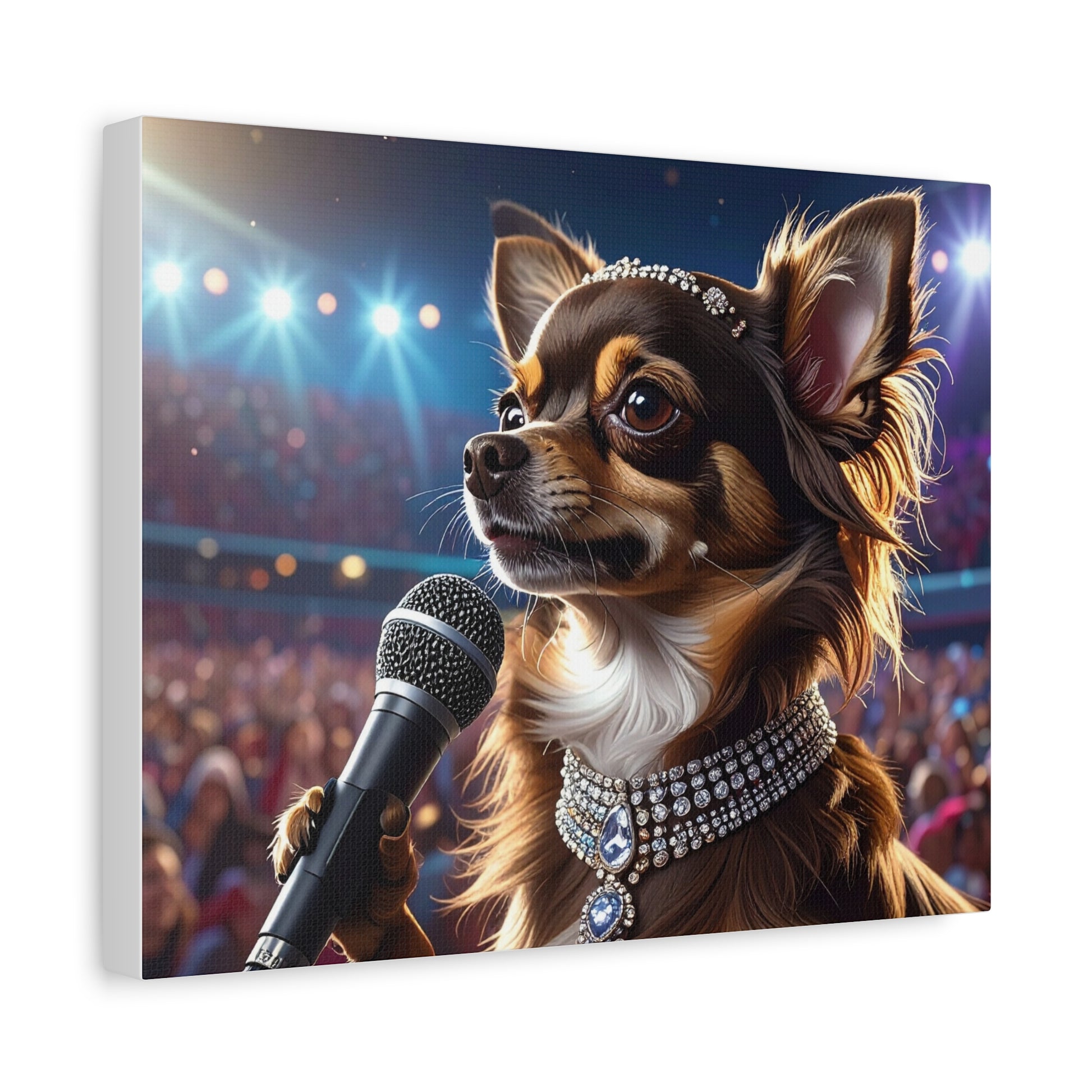 Music Muse: Pop Star - chunique chihuahuas