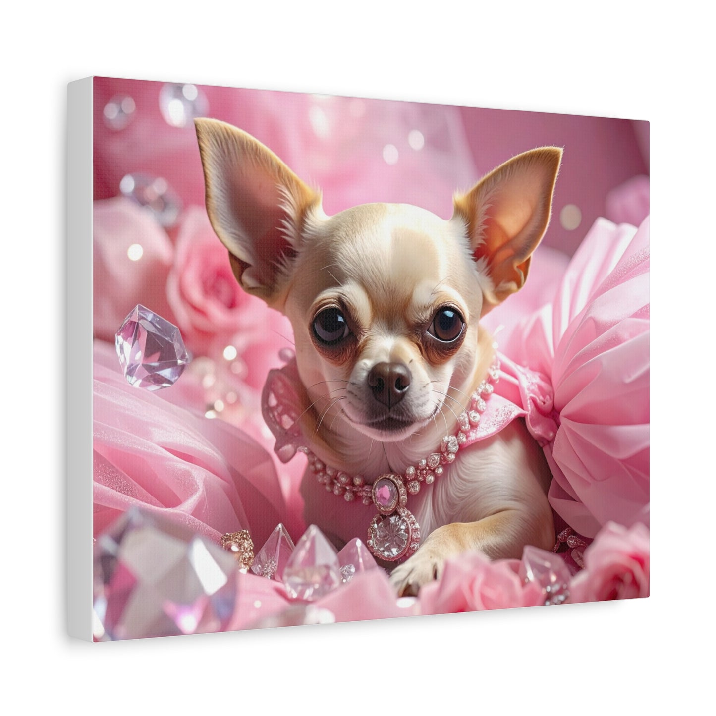 Rags to Riches: Princess - chunique chihuahuas