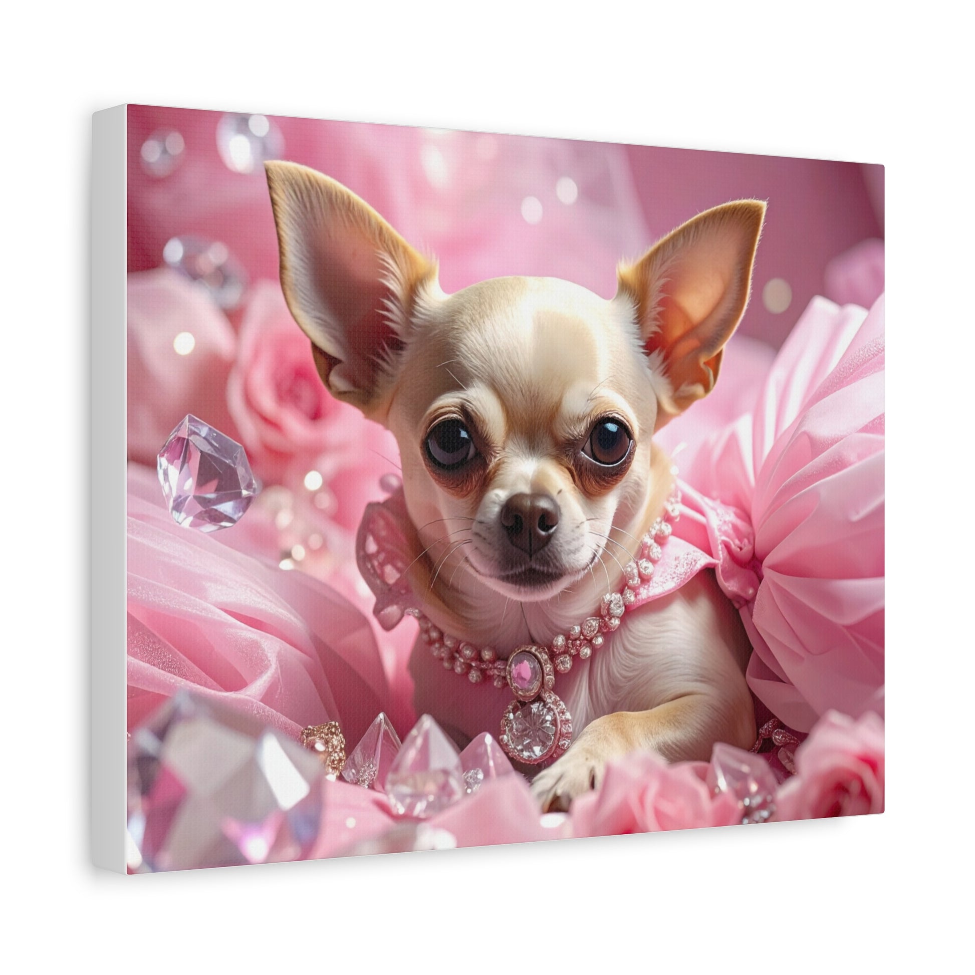 Rags to Riches: Princess - chunique chihuahuas