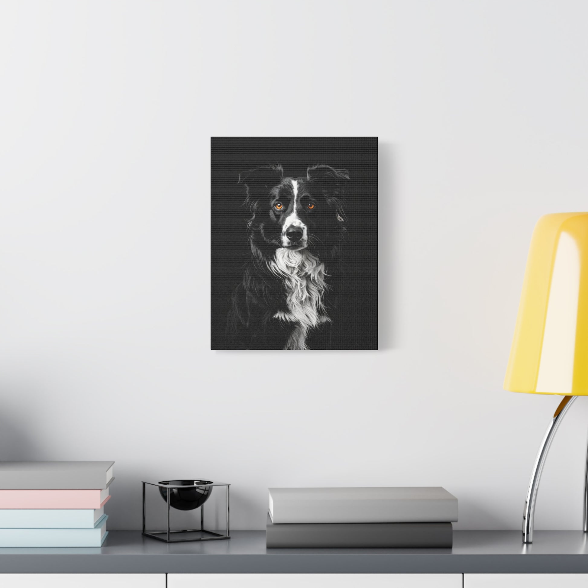 Captivating Collies: Black & Amber - chunique chihuahuas