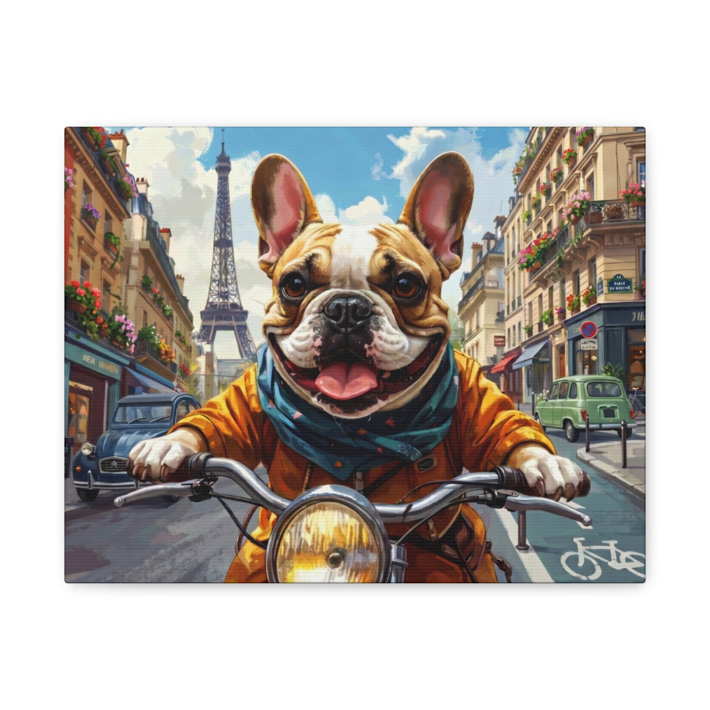 Frenchies in France: Motorbike - Chunique Chihuahuas