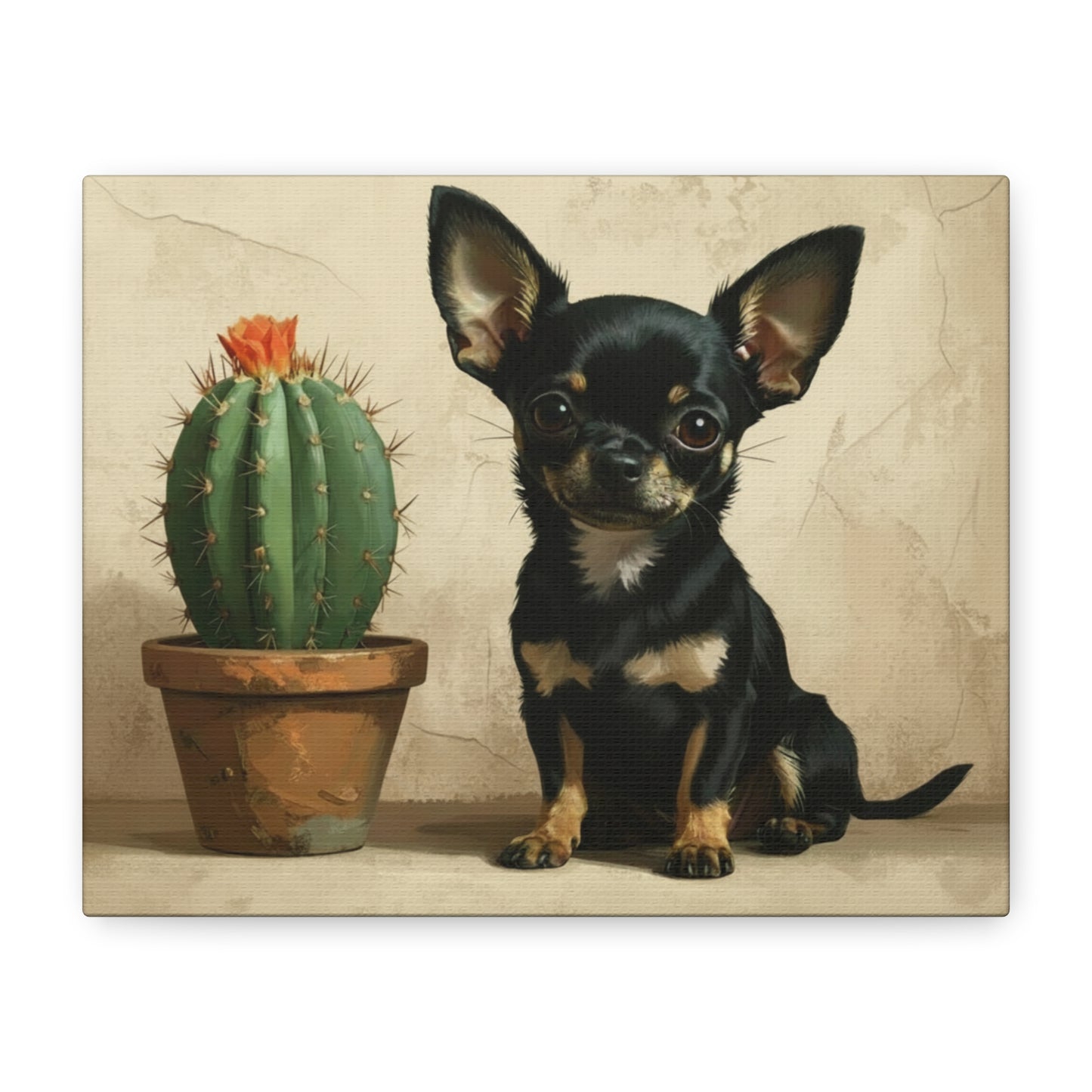 The Southwest: Cactus & Chihuahua - Chunique Chihuahuas