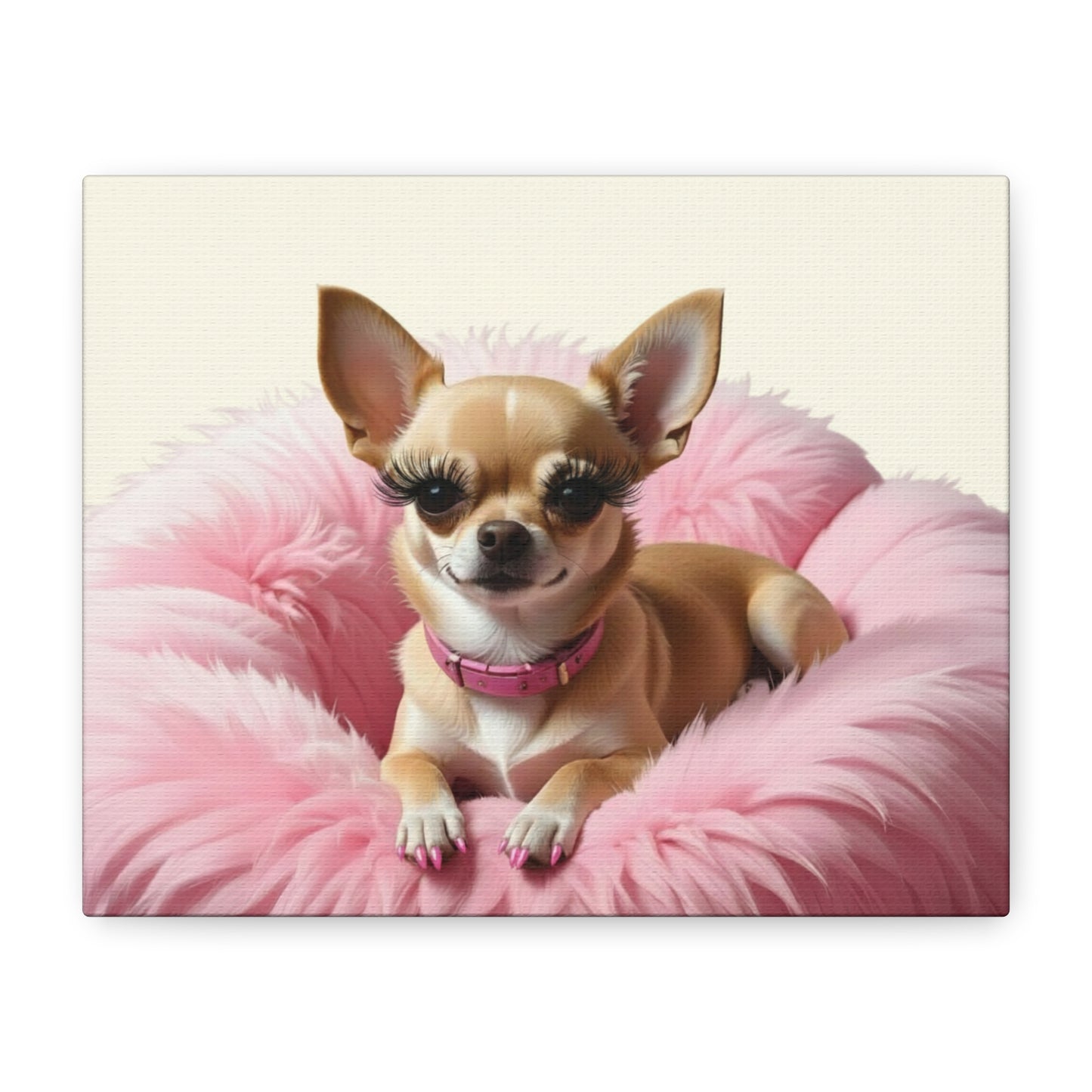 Perfectly Pink: Pink & Cream - Chunique Chihuahuas