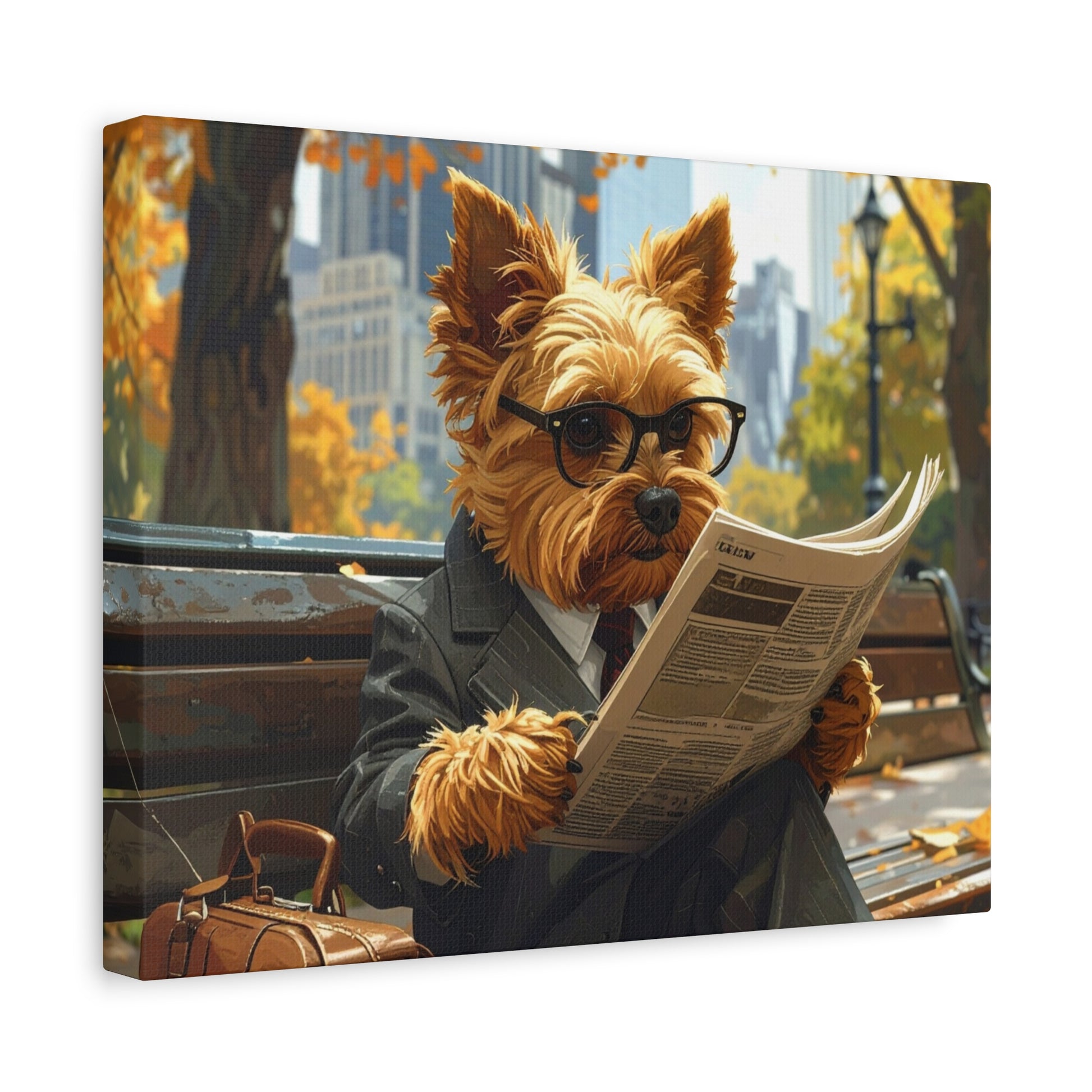 NY Yorkie: Daily News - Chunique Chihuahuas