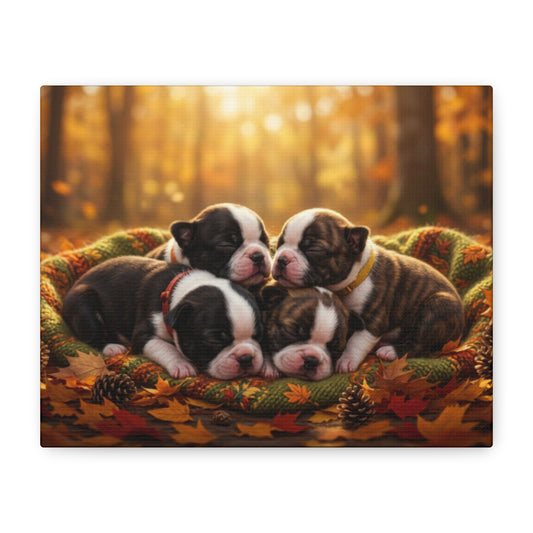 Autumn Puppies Canvas Wall Art — Cozy Sleeping Boston Terrier Puppies, Stretched Matte 1.25" - Chunique Chihuahuas