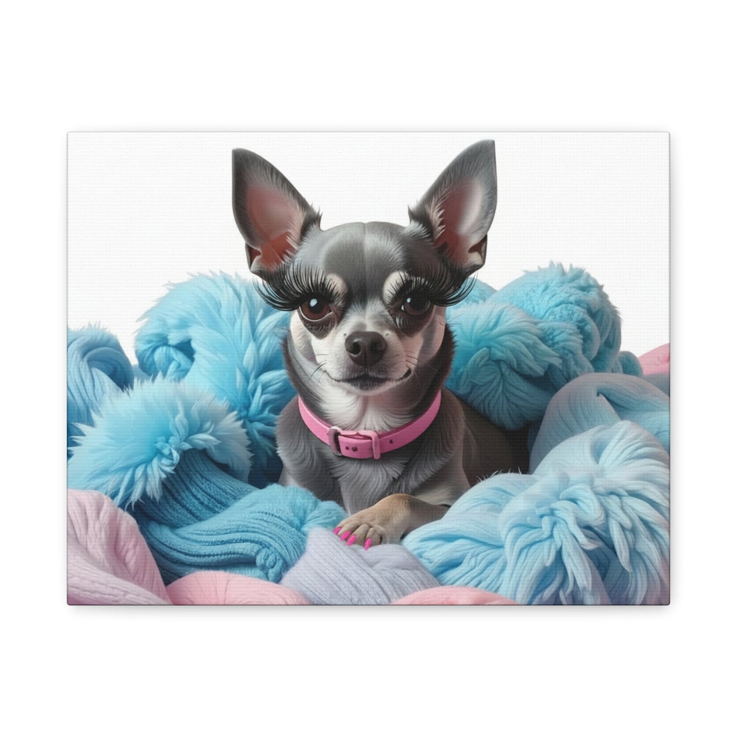 Perfectly Pink: Pink & Blue - Chunique Chihuahuas