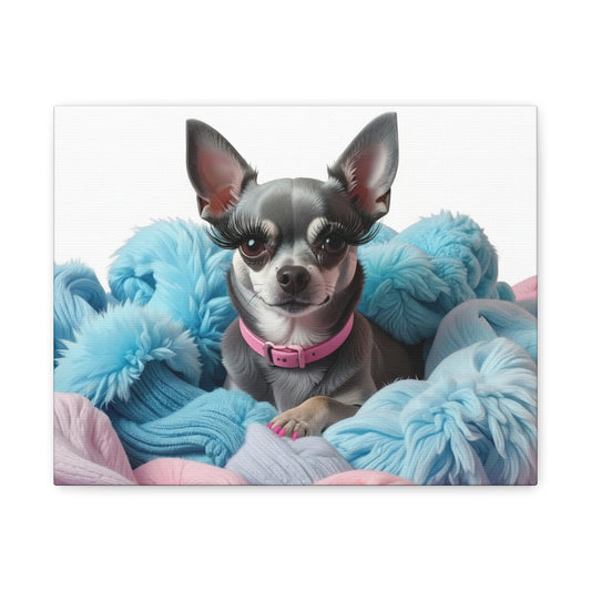 Perfectly Pink: Pink & Blue - Chunique Chihuahuas