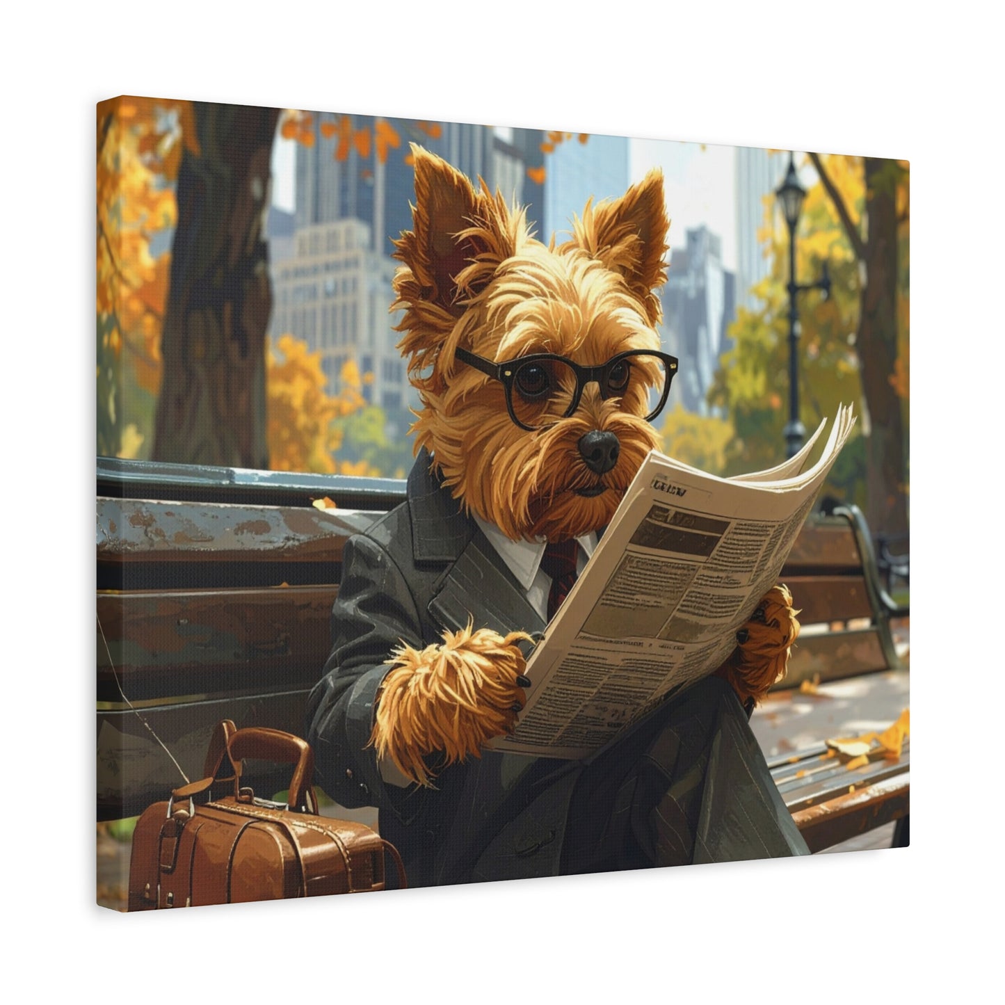 NY Yorkie: Daily News - Chunique Chihuahuas