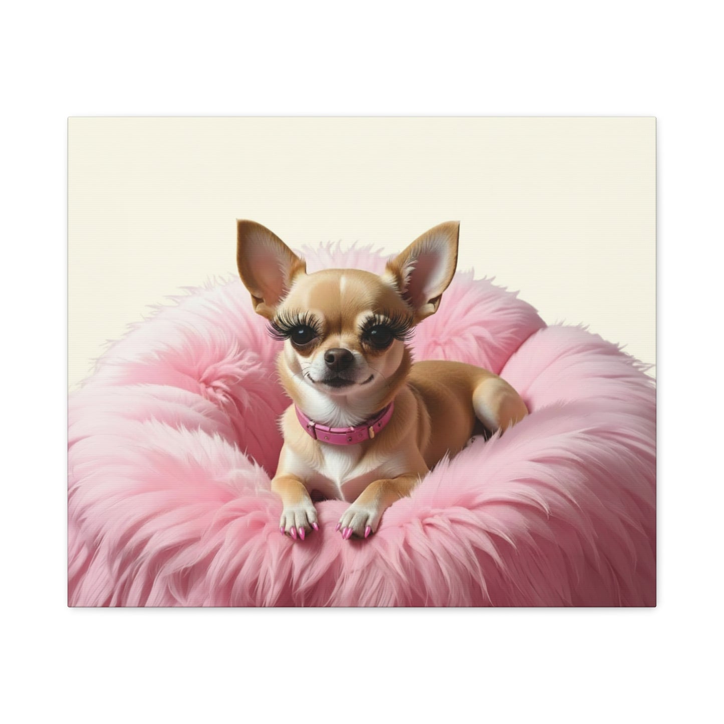 Perfectly Pink: Pink & Cream - Chunique Chihuahuas