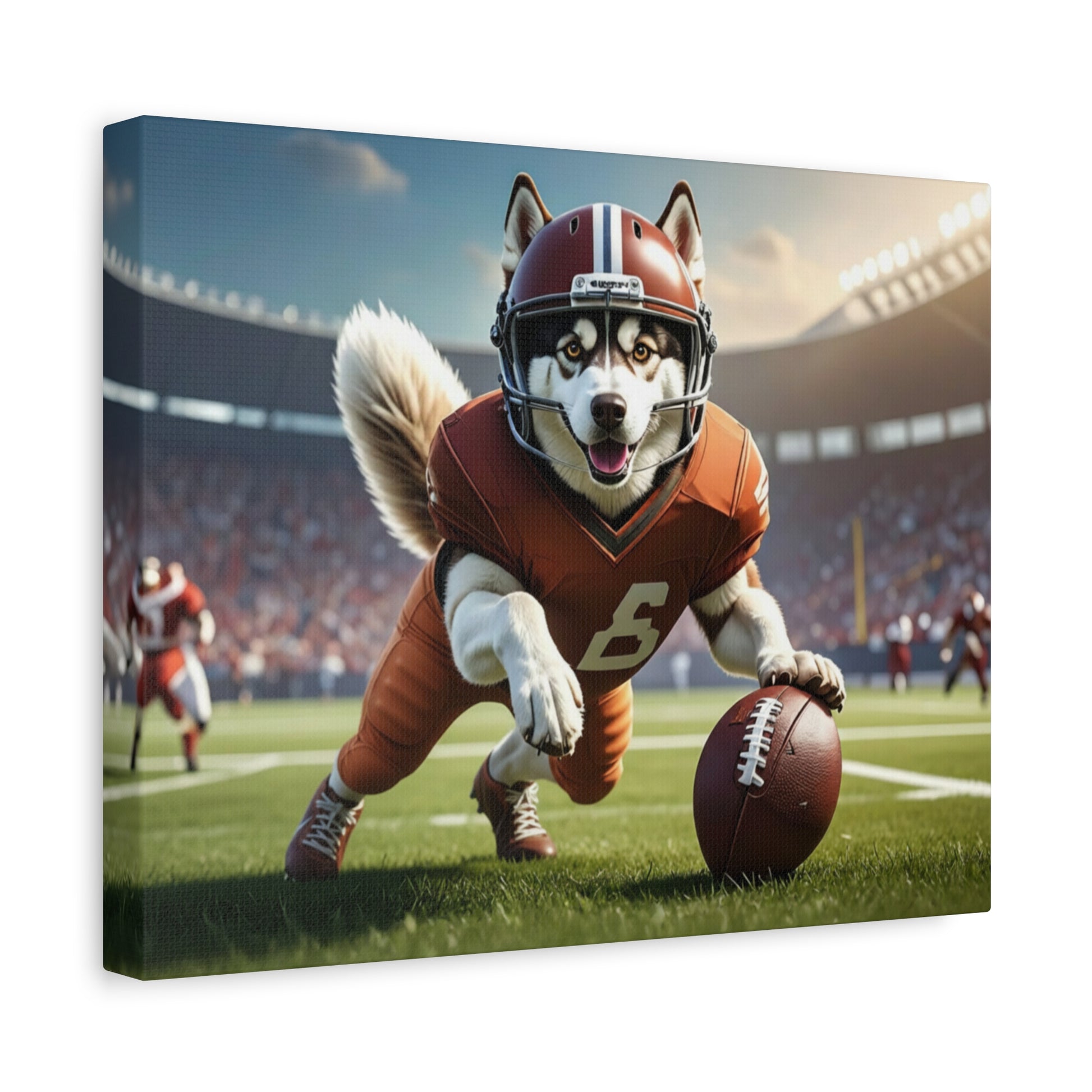 All - Stars: Football - Chunique Chihuahuas