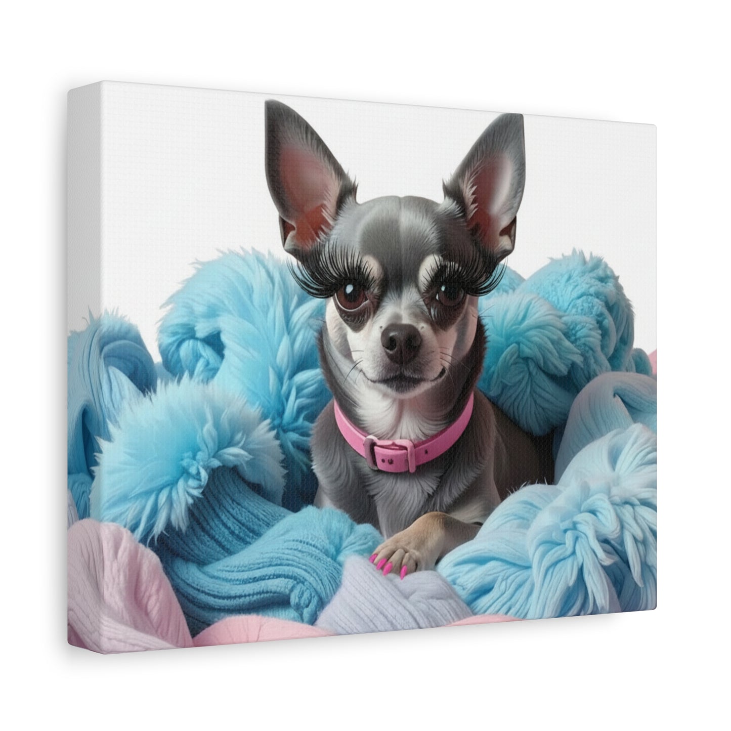 Perfectly Pink: Pink & Blue - Chunique Chihuahuas