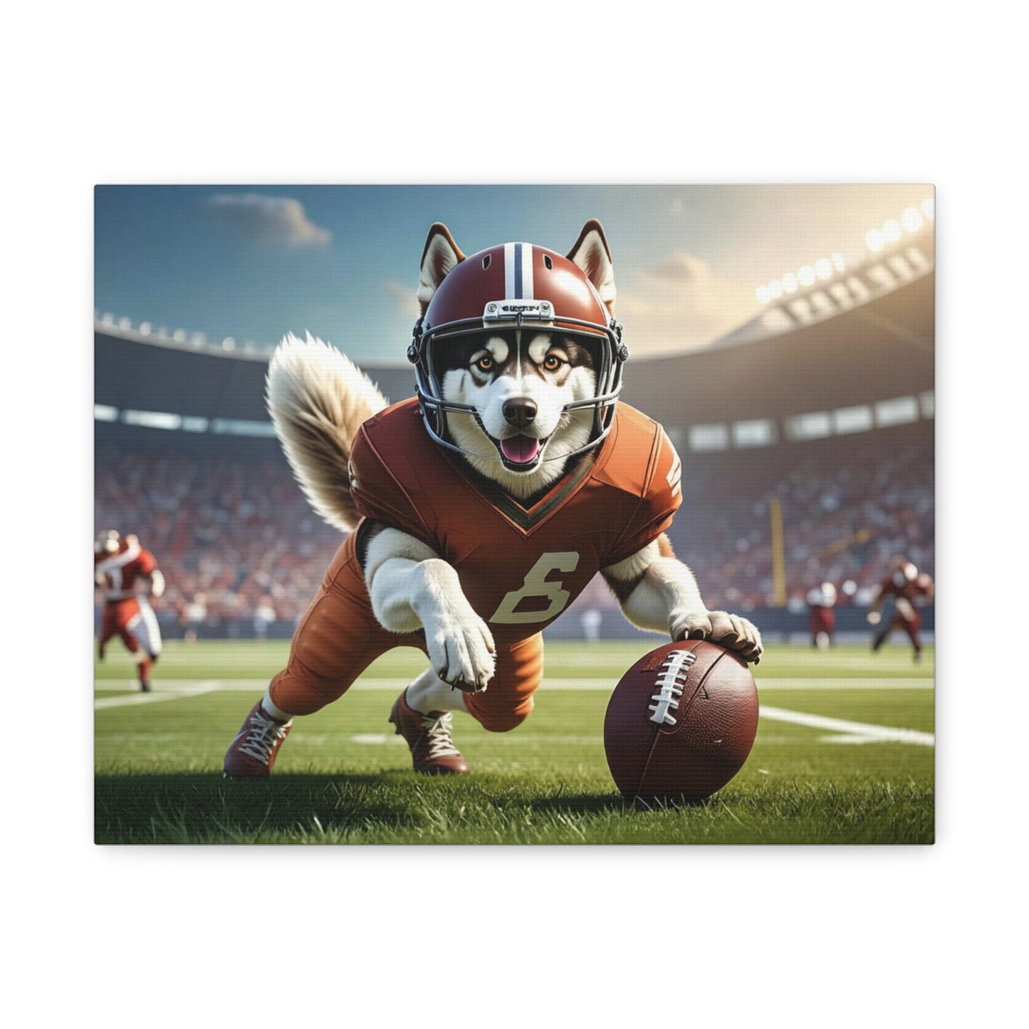 All-Star: Football - chunique chihuahuas