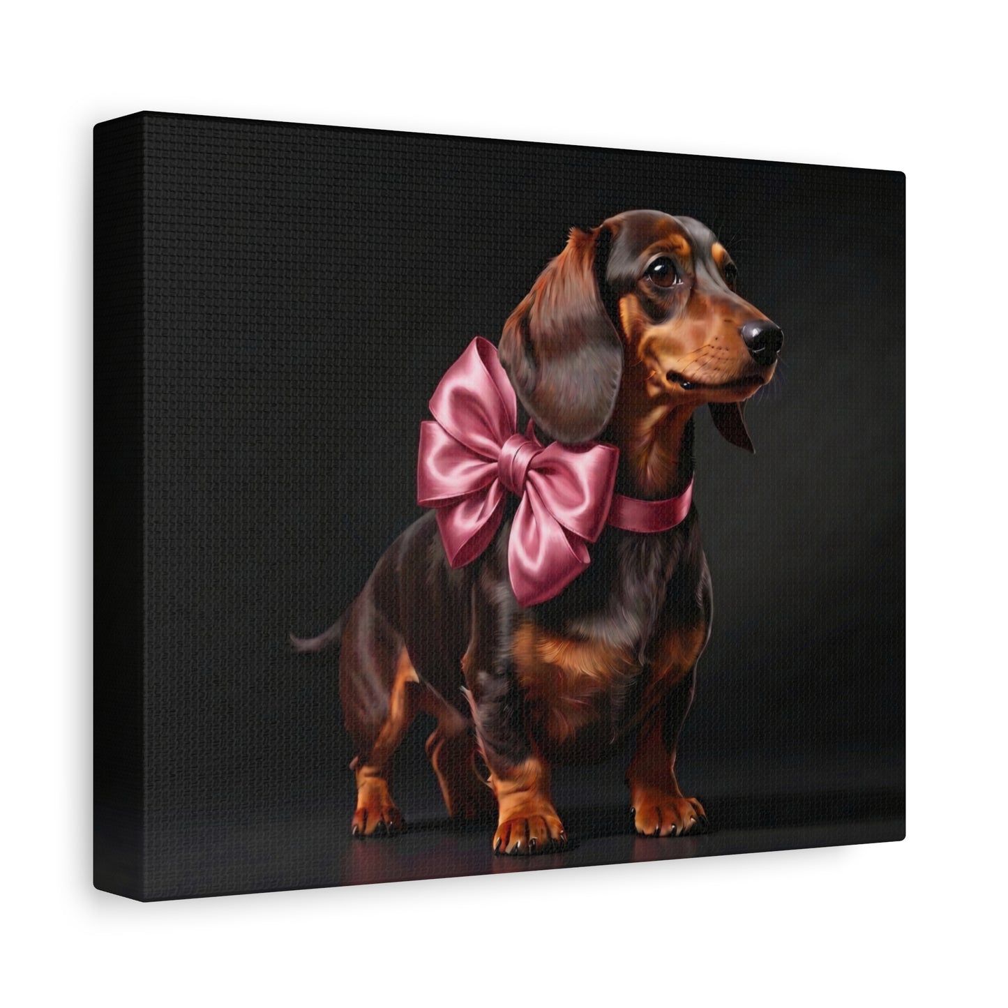 Darling Dachshunds: Pink Bow - Chunique Chihuahuas