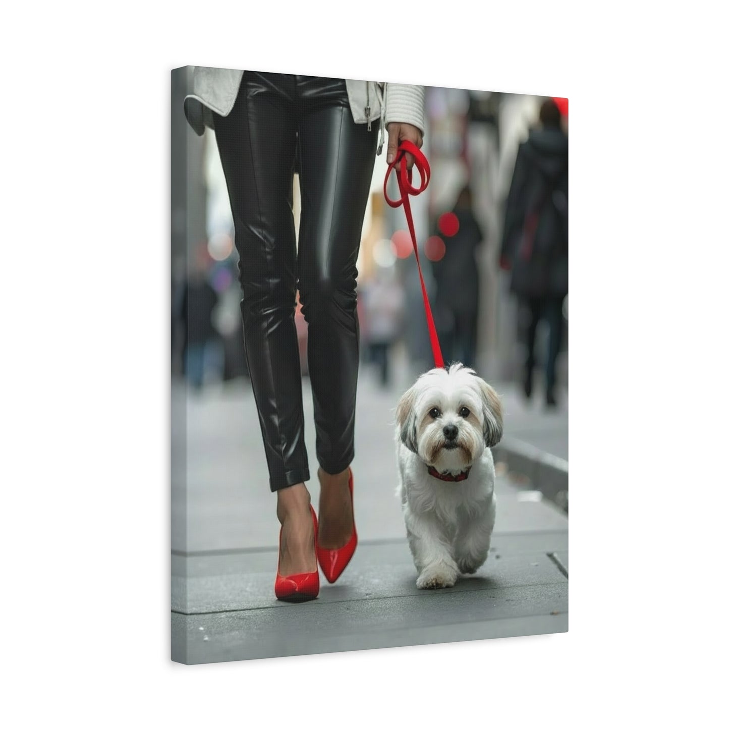Shih Tzu Glitz: Off - Duty - Chunique Chihuahuas