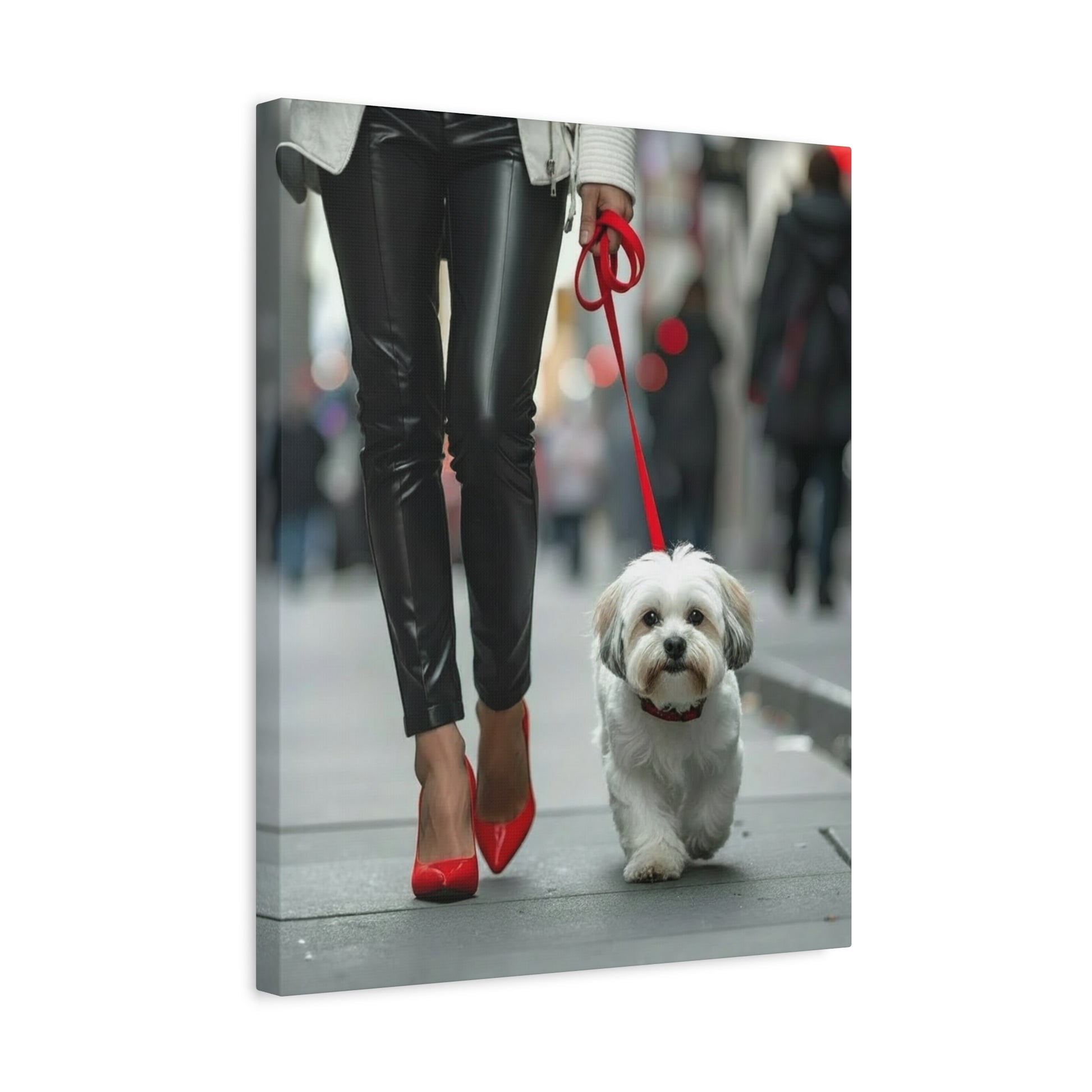 Shih Tzu Glitz: Off - Duty - Chunique Chihuahuas