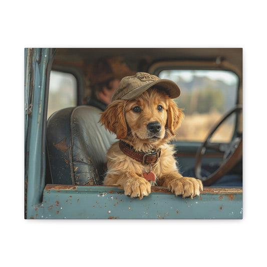 JoyRide: Golden Retriever - Chunique Chihuahuas