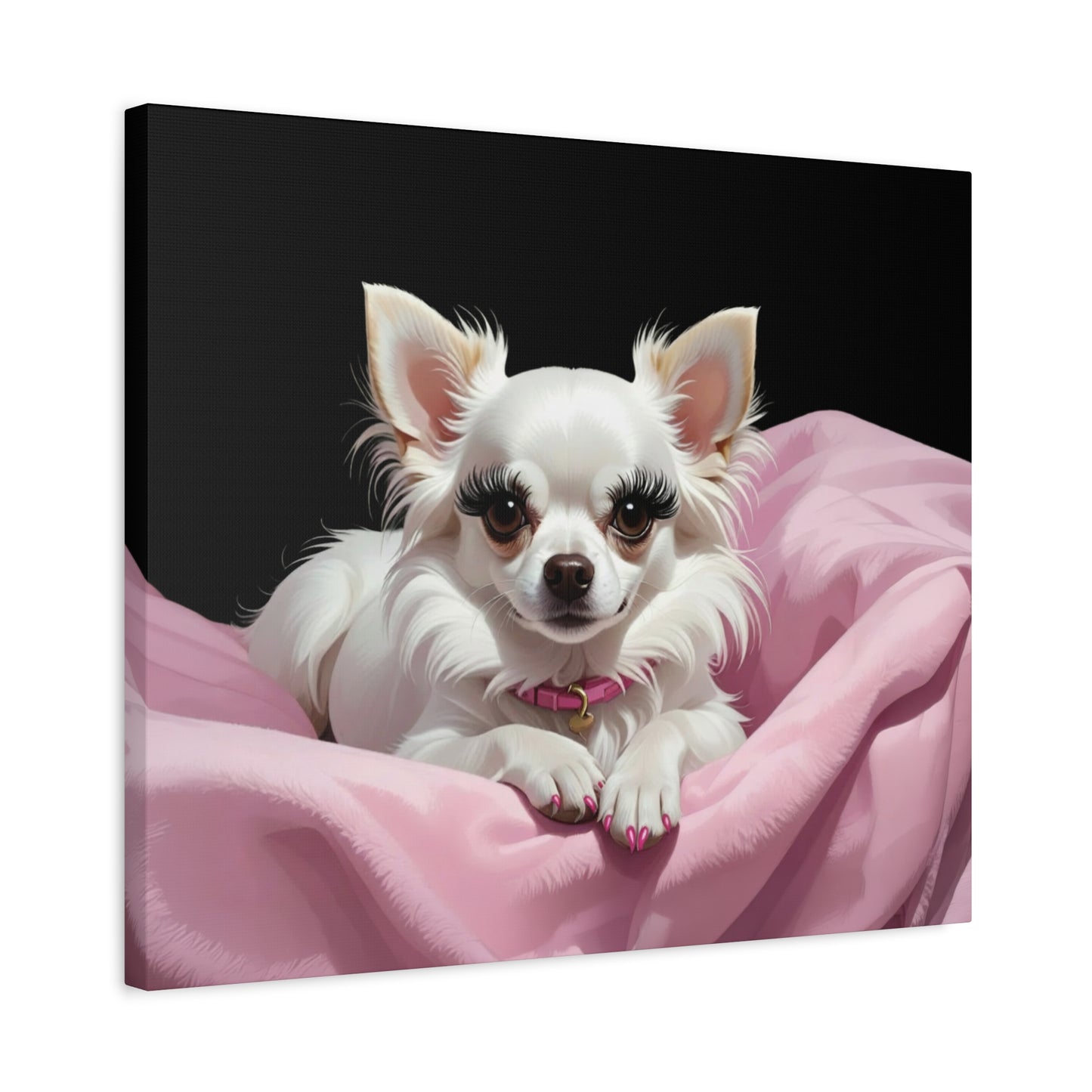 Perfectly Pink: Pink & Black - Chunique Chihuahuas