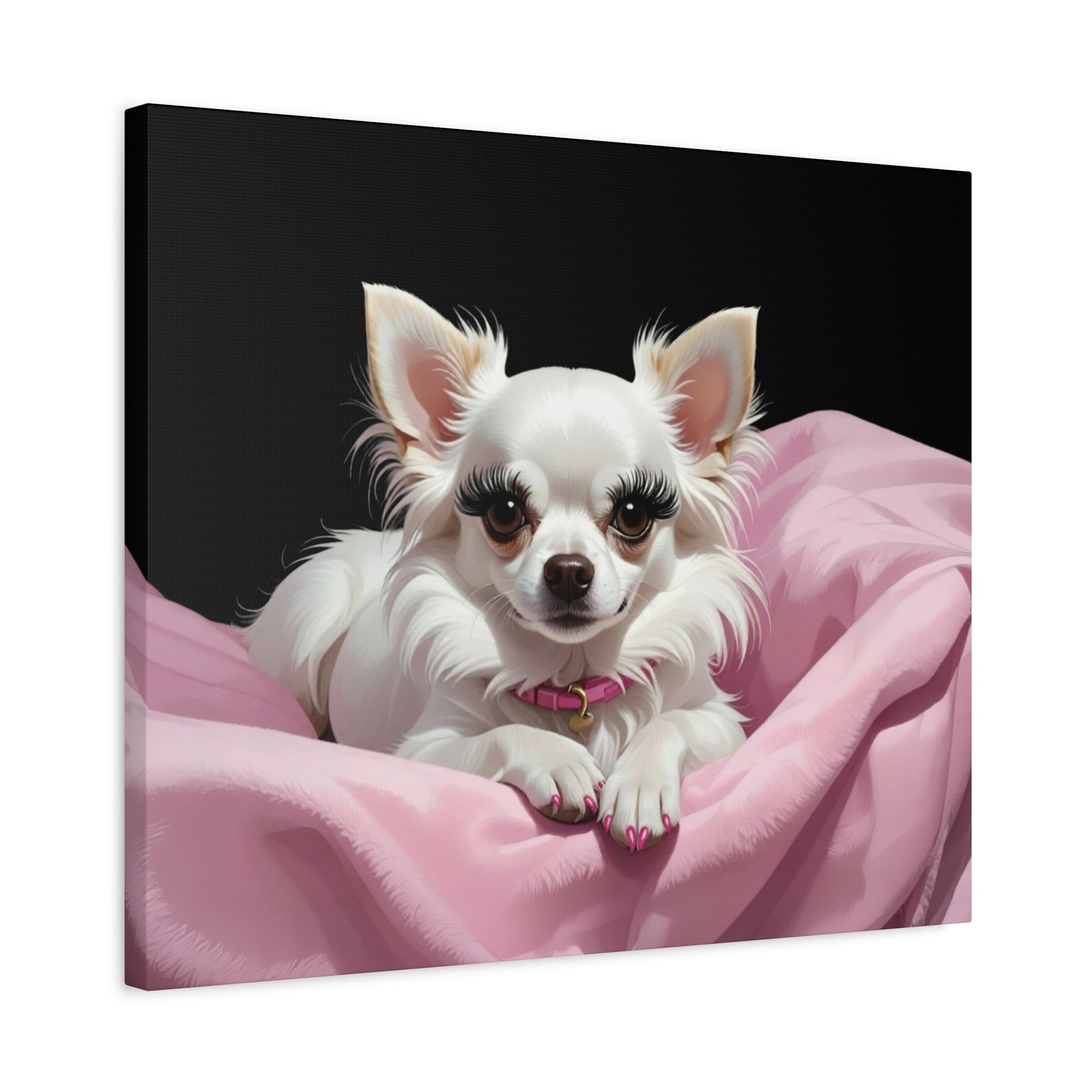 Perfectly Pink: Pink & Black - Chunique Chihuahuas