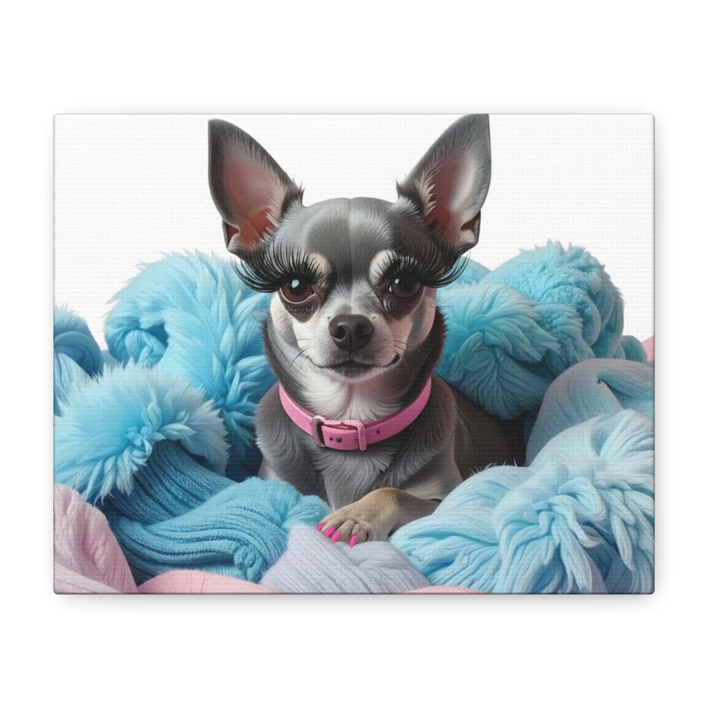 Perfectly Pink: Pink & Blue - Chunique Chihuahuas