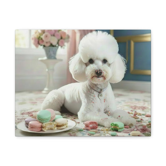 White dog sitting on a patterned rug with macarons
