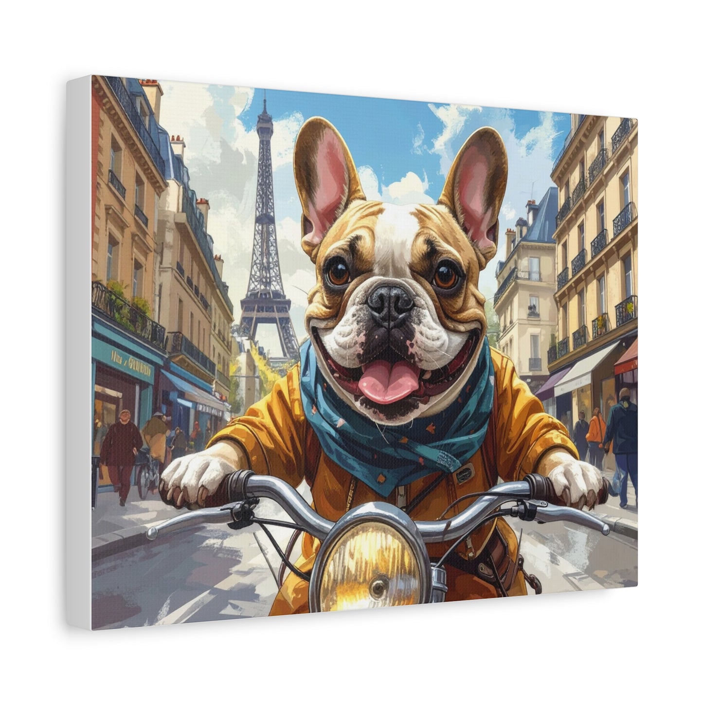 Frenchies in France: Motorbike - chunique chihuahuas