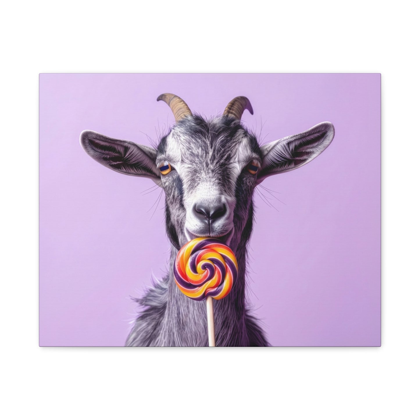Goat with Lollipop Canvas Print — Whimsical Farmhouse Wall Art - Chunique Chihuahuas