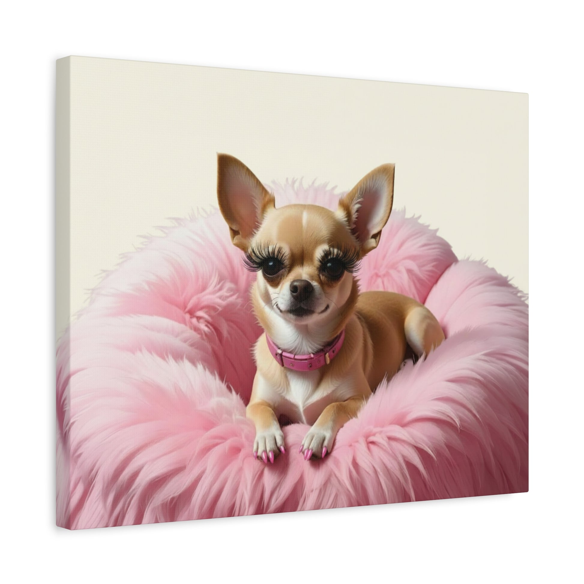 Perfectly Pink: Pink & Cream - Chunique Chihuahuas