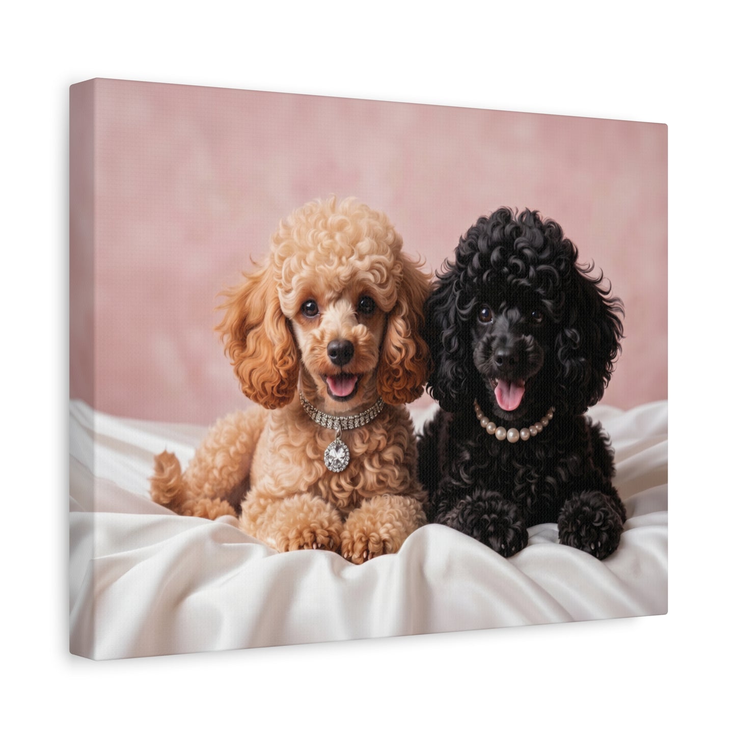 Posh Poodles: Poodle Puppies & Silk - Chunique Chihuahuas