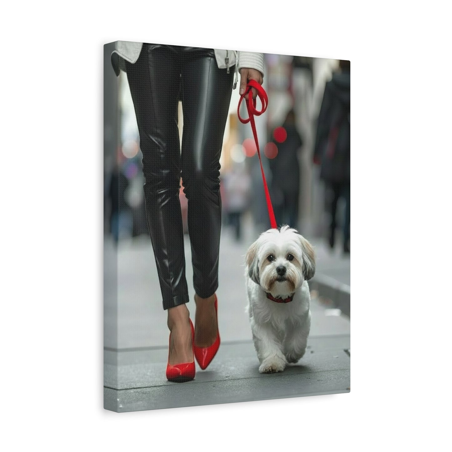 Shih Tzu Glitz: Off - Duty - Chunique Chihuahuas