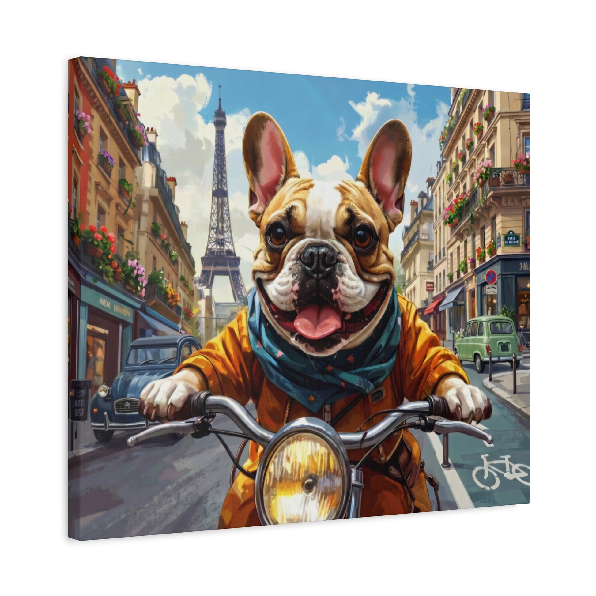 Frenchies in France: Motorbike - Chunique Chihuahuas