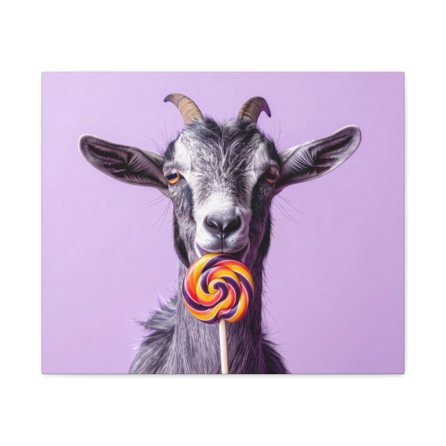 Goat with Lollipop Canvas Print — Whimsical Farmhouse Wall Art - Chunique Chihuahuas