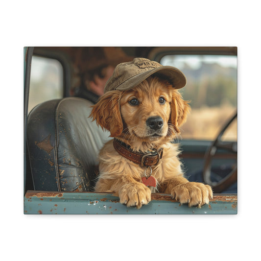 JoyRide: Golden Retriever - Chunique Chihuahuas