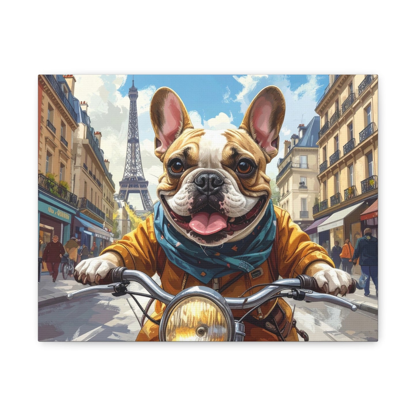 Frenchies in France: Motorbike - chunique chihuahuas