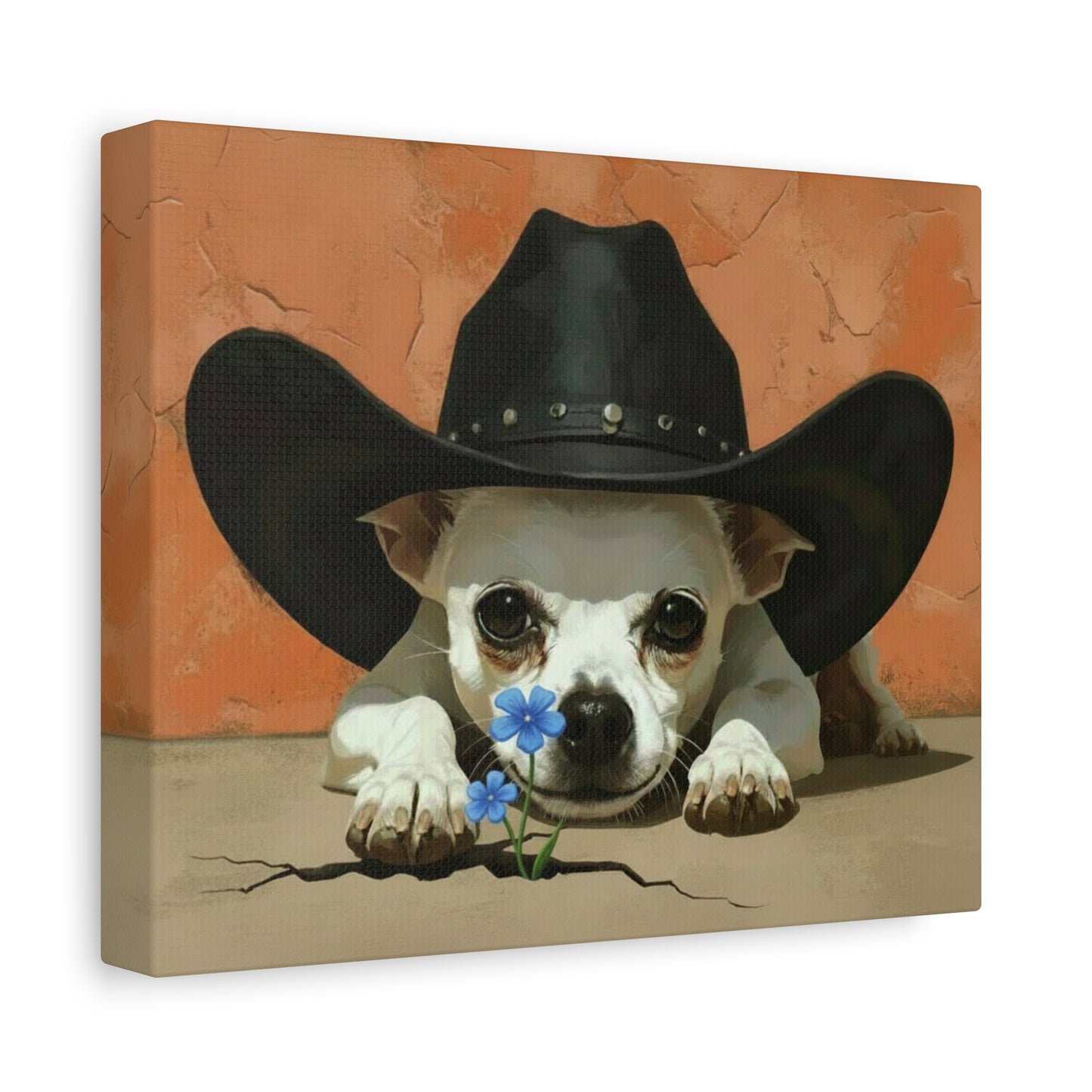 The Southwest: Cowboy Hat & Chihuahua - Chunique Chihuahuas