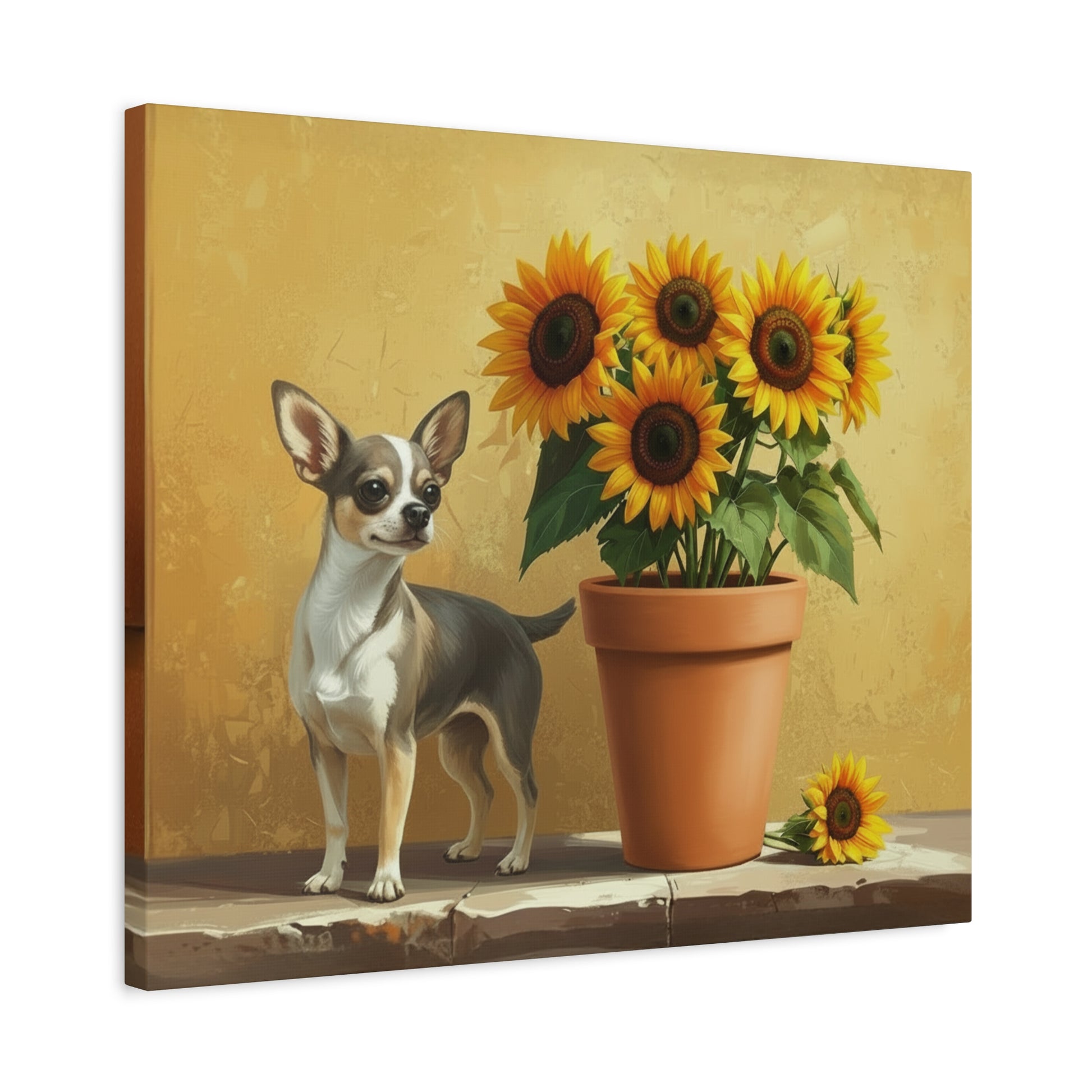 The Southwest: Sunflowers & Chihuahuas - Chunique Chihuahuas