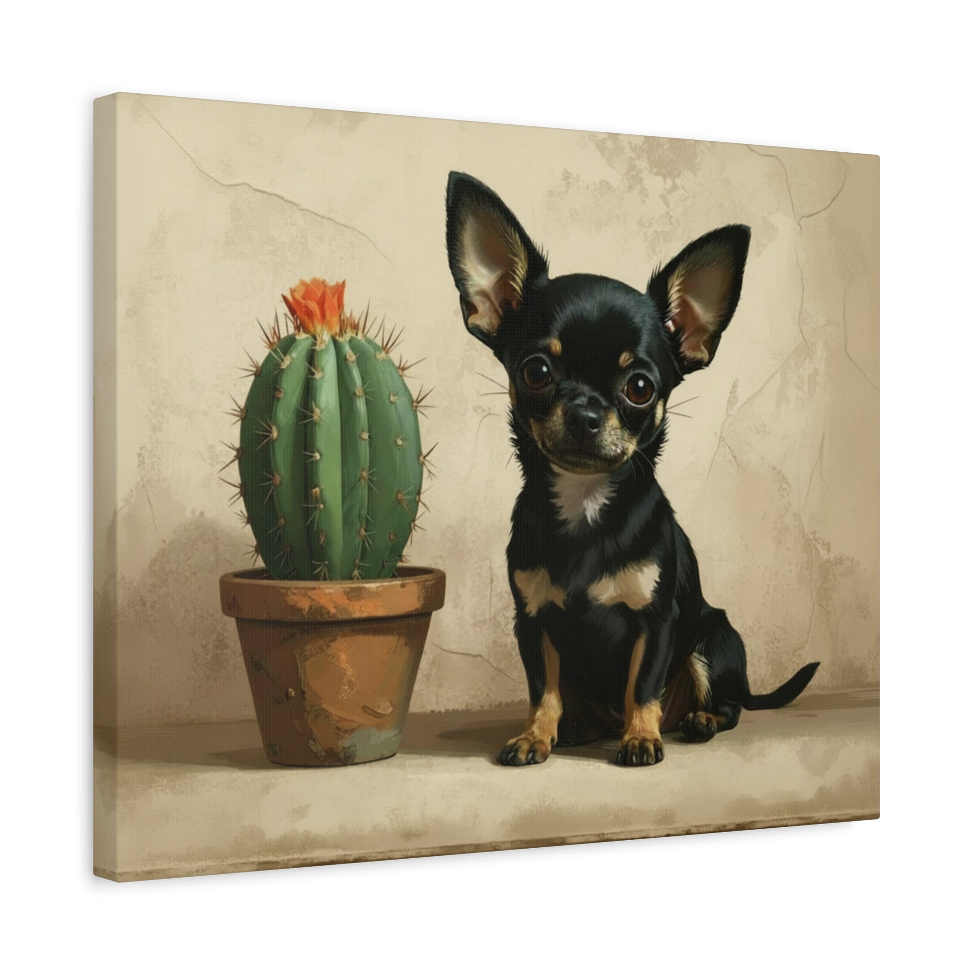 The Southwest: Cactus & Chihuahua - Chunique Chihuahuas