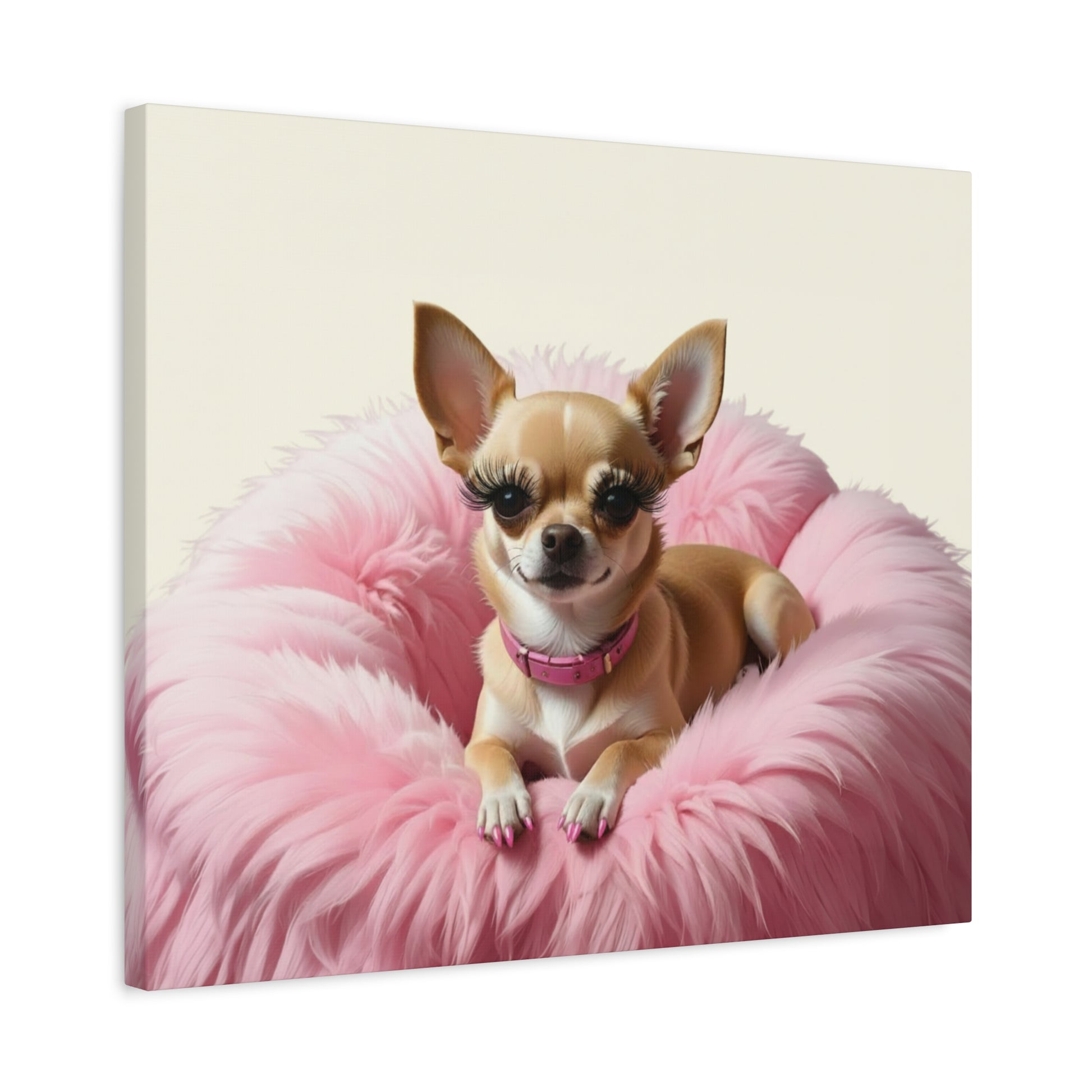 Perfectly Pink: Pink & Cream - Chunique Chihuahuas