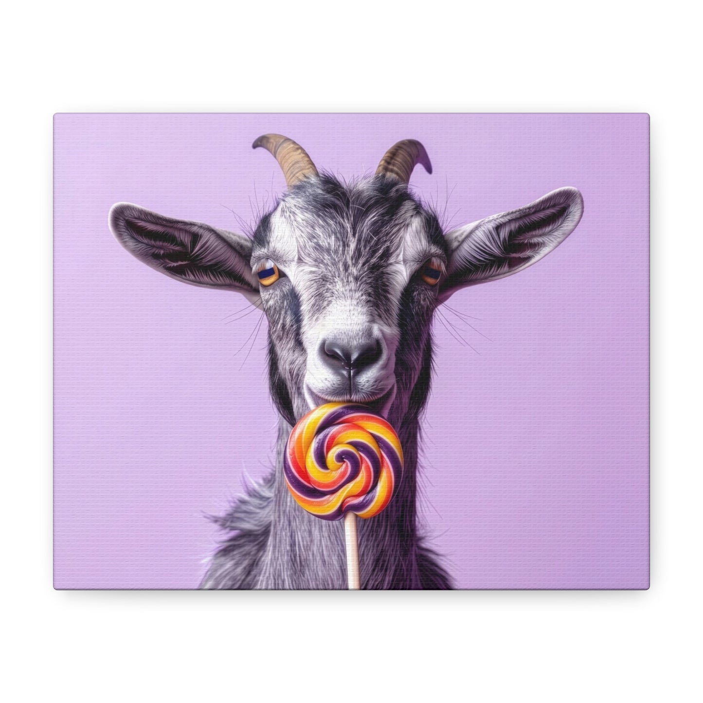 Goat with Lollipop Canvas Print — Whimsical Farmhouse Wall Art - Chunique Chihuahuas