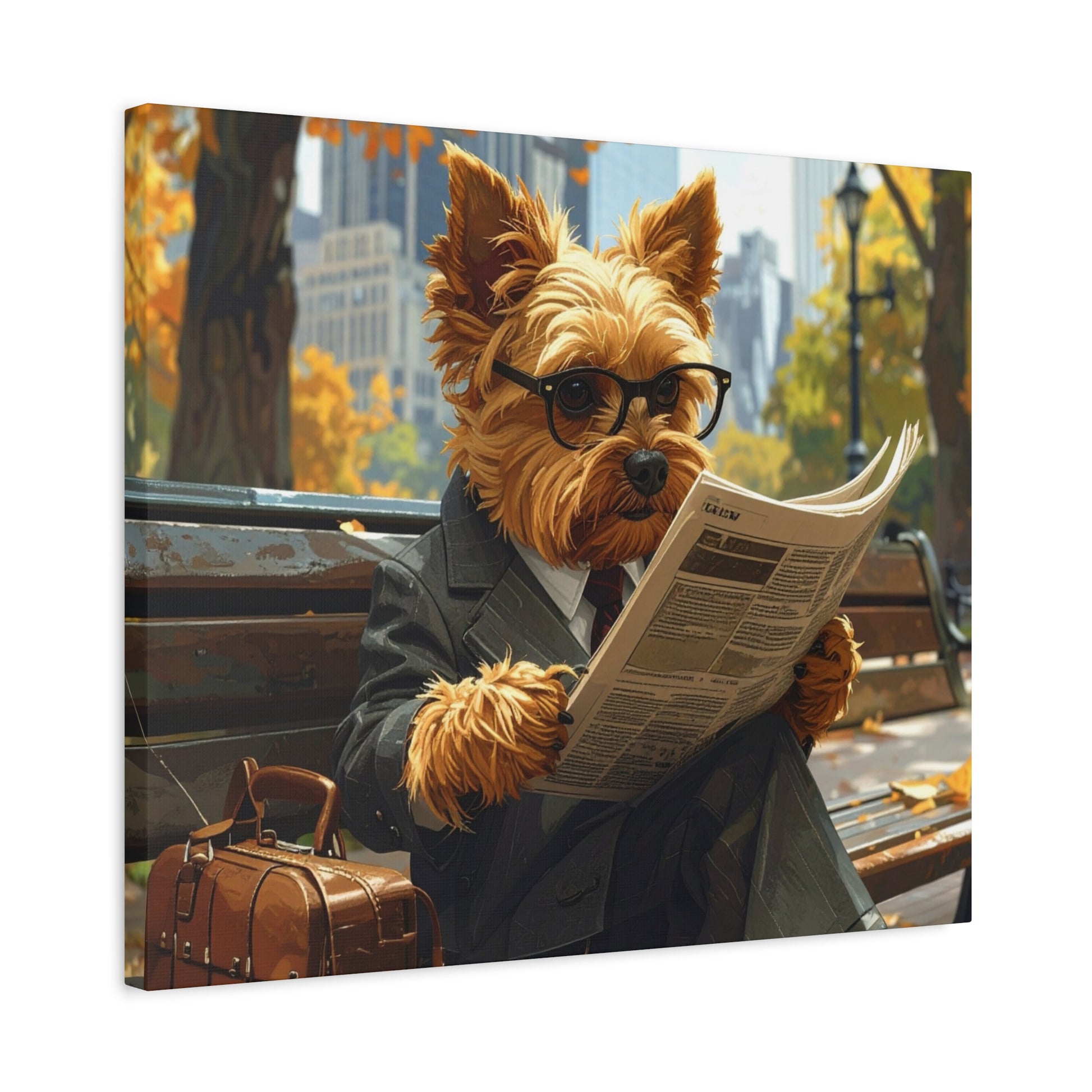 NY Yorkie: Daily News - Chunique Chihuahuas