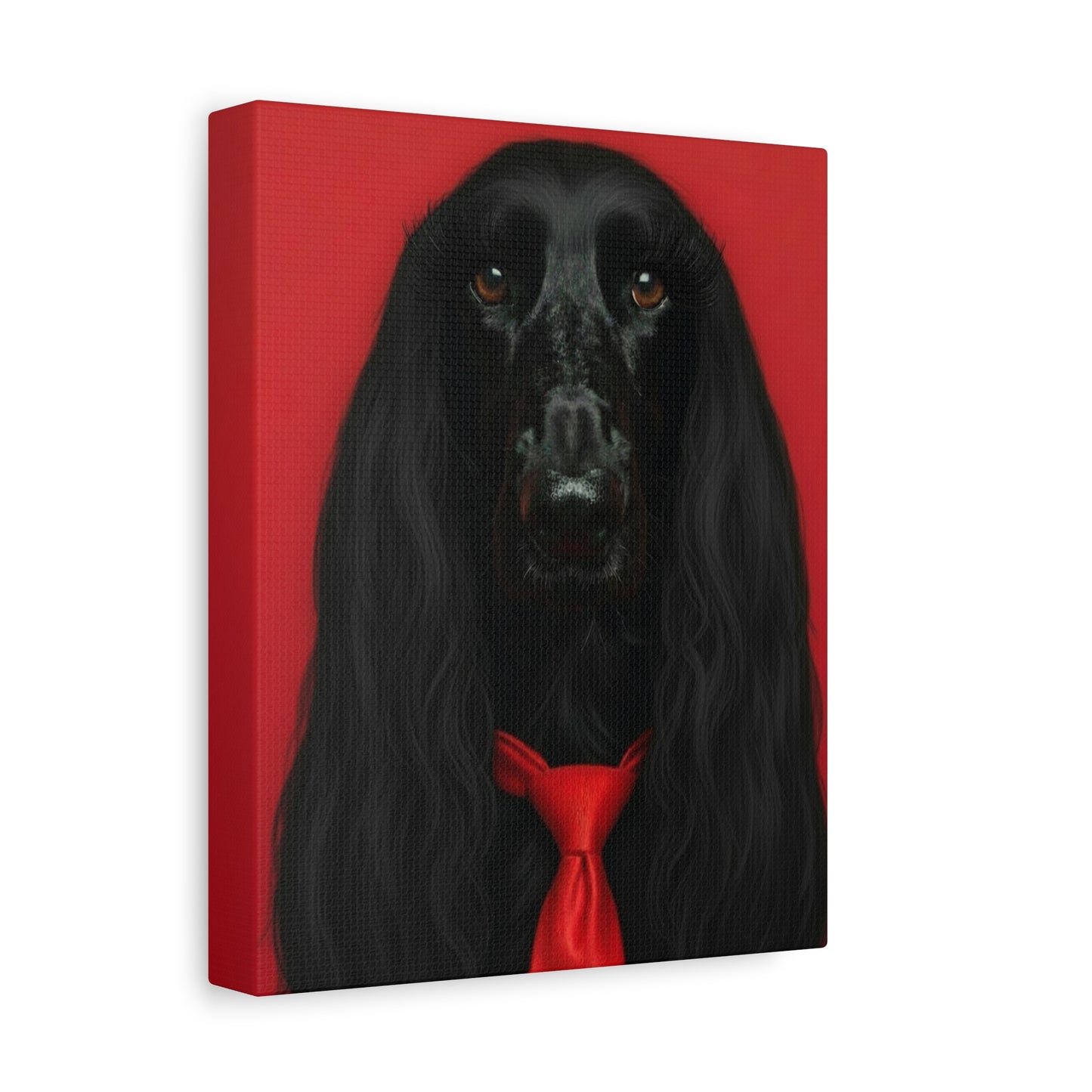 Glamorous Grandeur: Black & Red - Chunique Chihuahuas