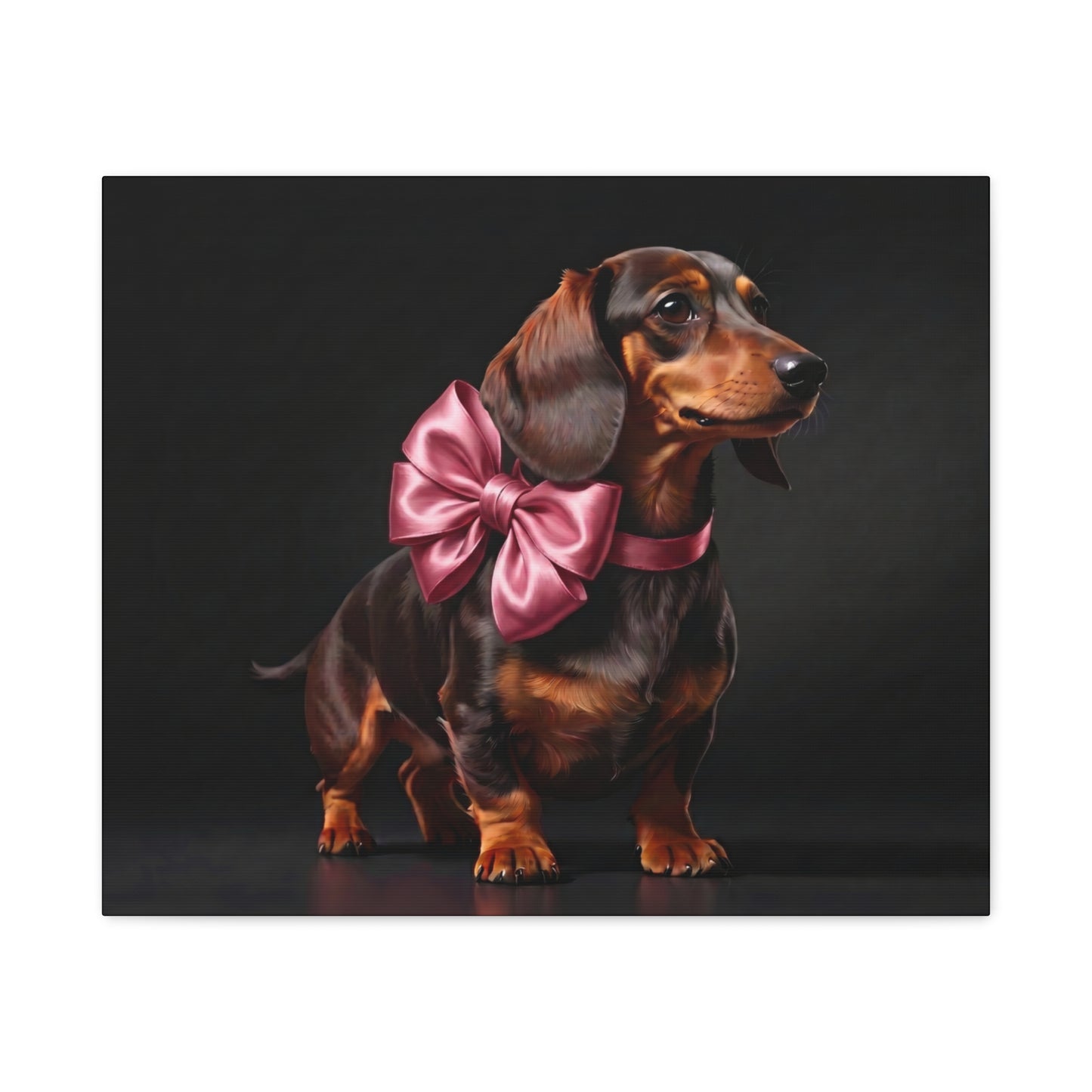 Darling Dachshunds: Pink Bow - Chunique Chihuahuas
