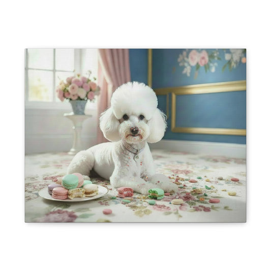 Bougie Bichon: Macarons - chunique chihuahuas