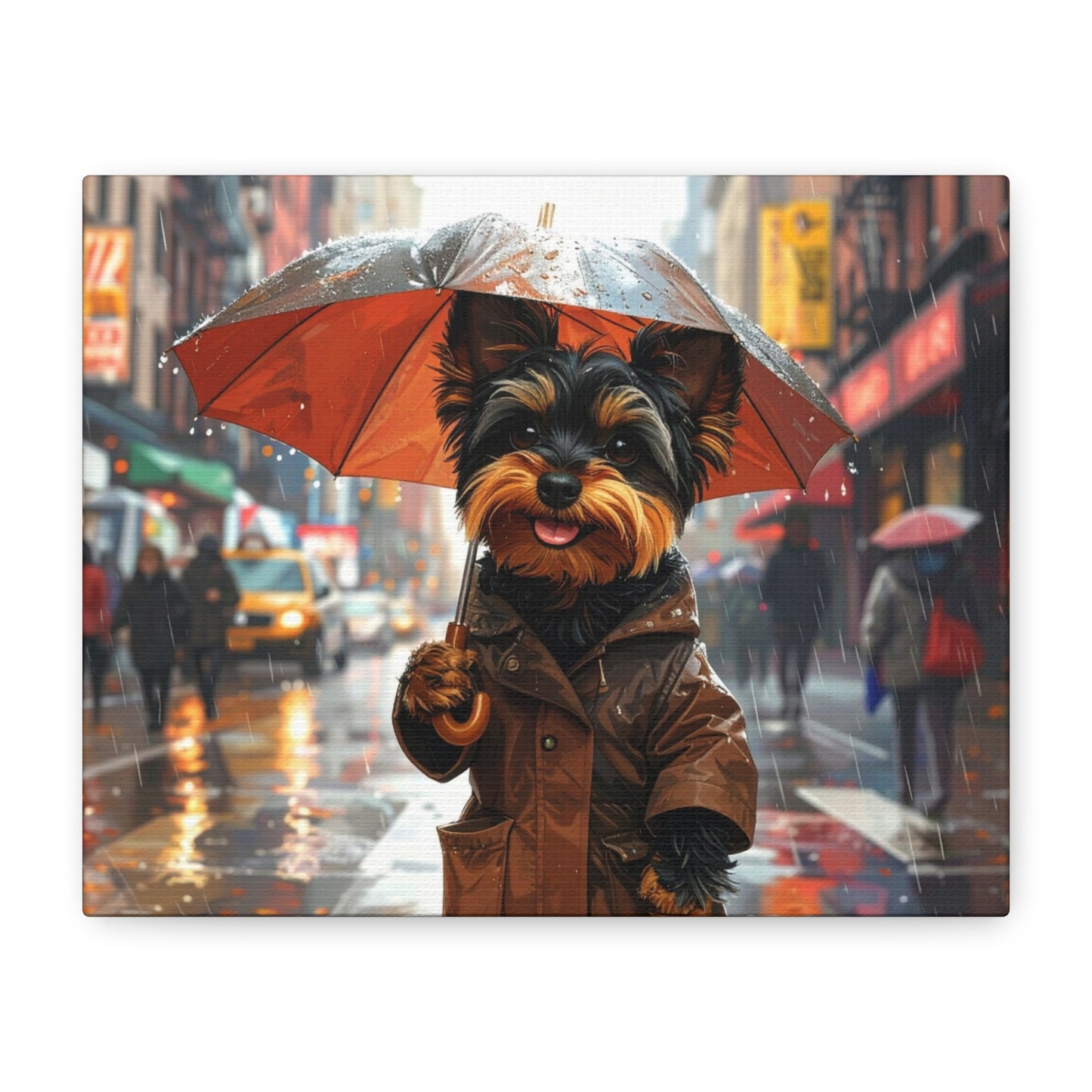 NY Yorkie: Everyday Rain - Chunique Chihuahuas