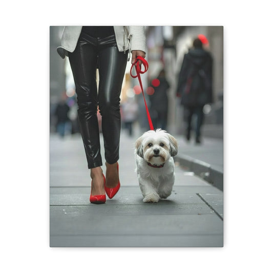 Shih Tzu Glitz: Off - Duty - Chunique Chihuahuas