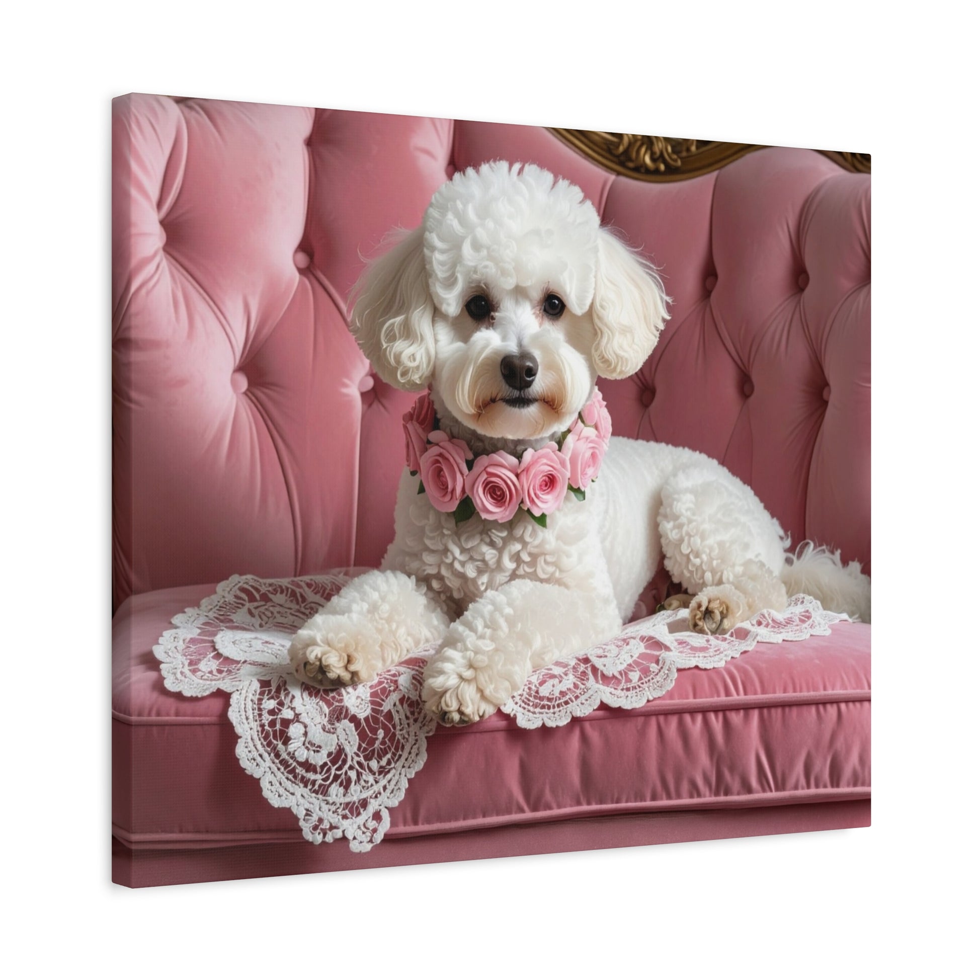 Bougie Bichon: Pink Velvet - Chunique Chihuahuas