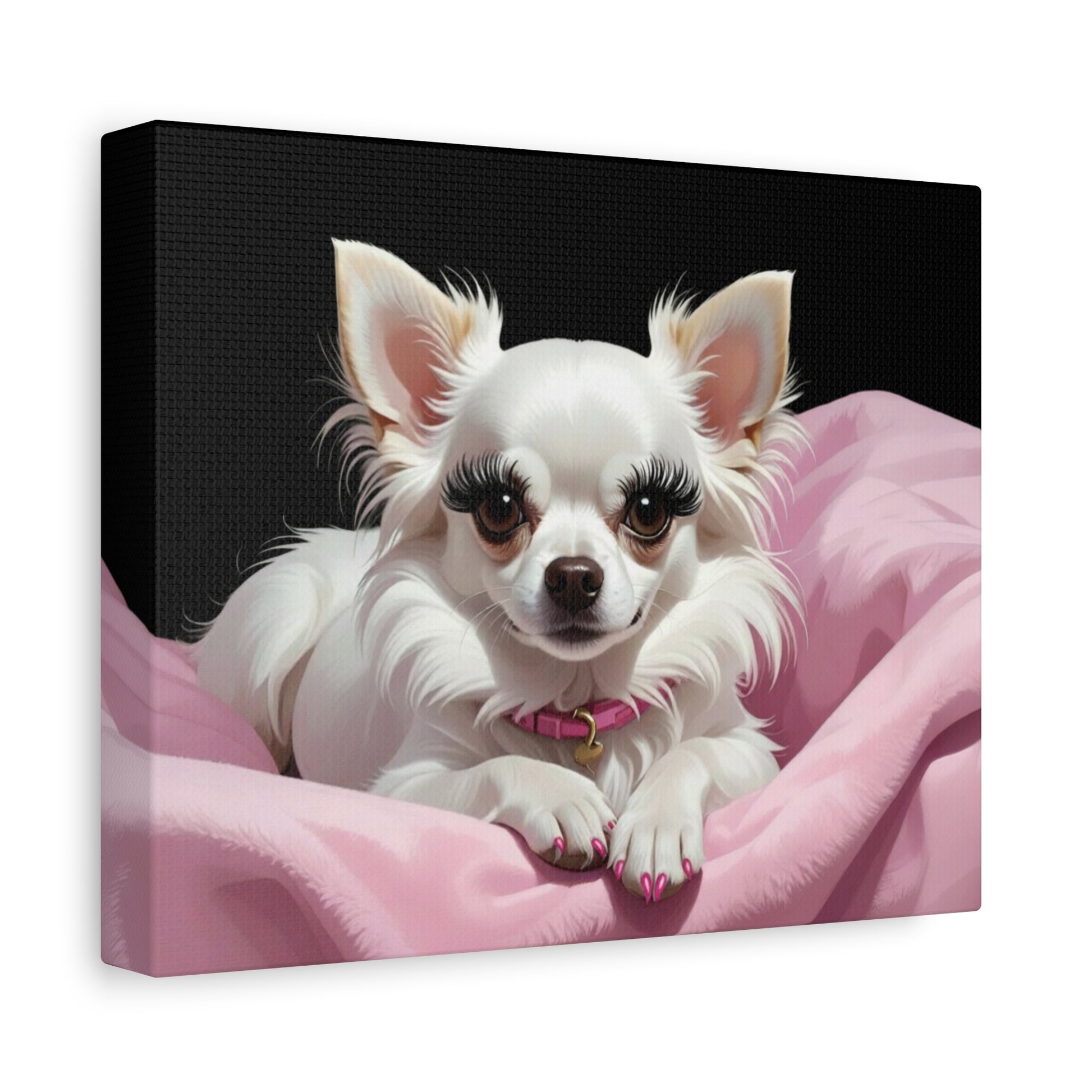 Perfectly Pink: Pink & Black - Chunique Chihuahuas