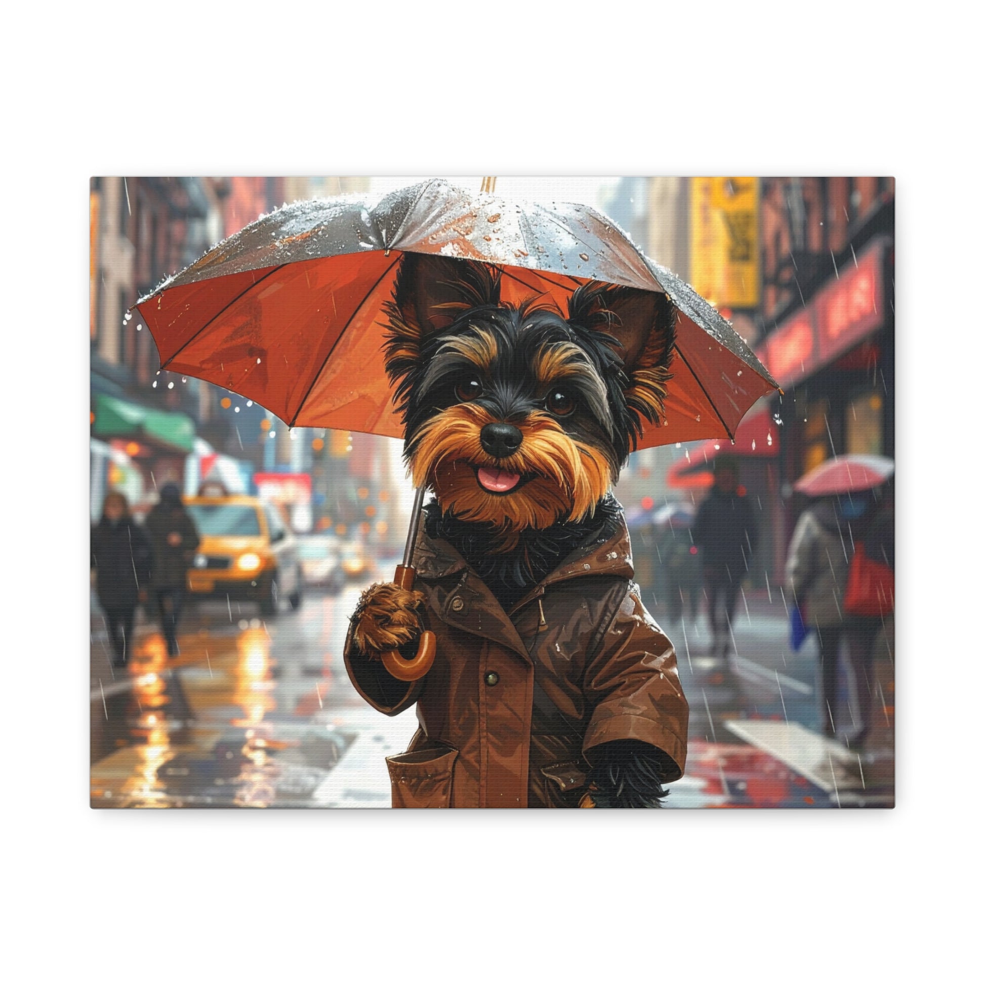 NY Yorkie: Everyday Rain - chunique chihuahuas