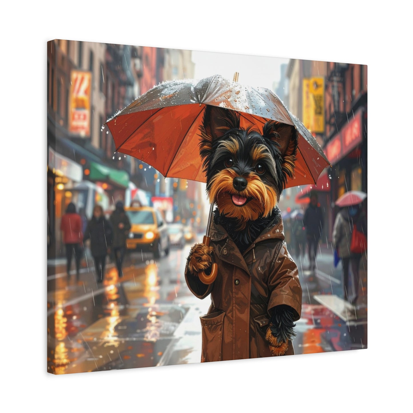 NY Yorkie: Everyday Rain - Chunique Chihuahuas